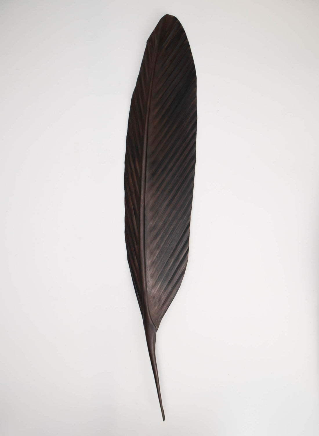 Tui Copper Feather 565mm