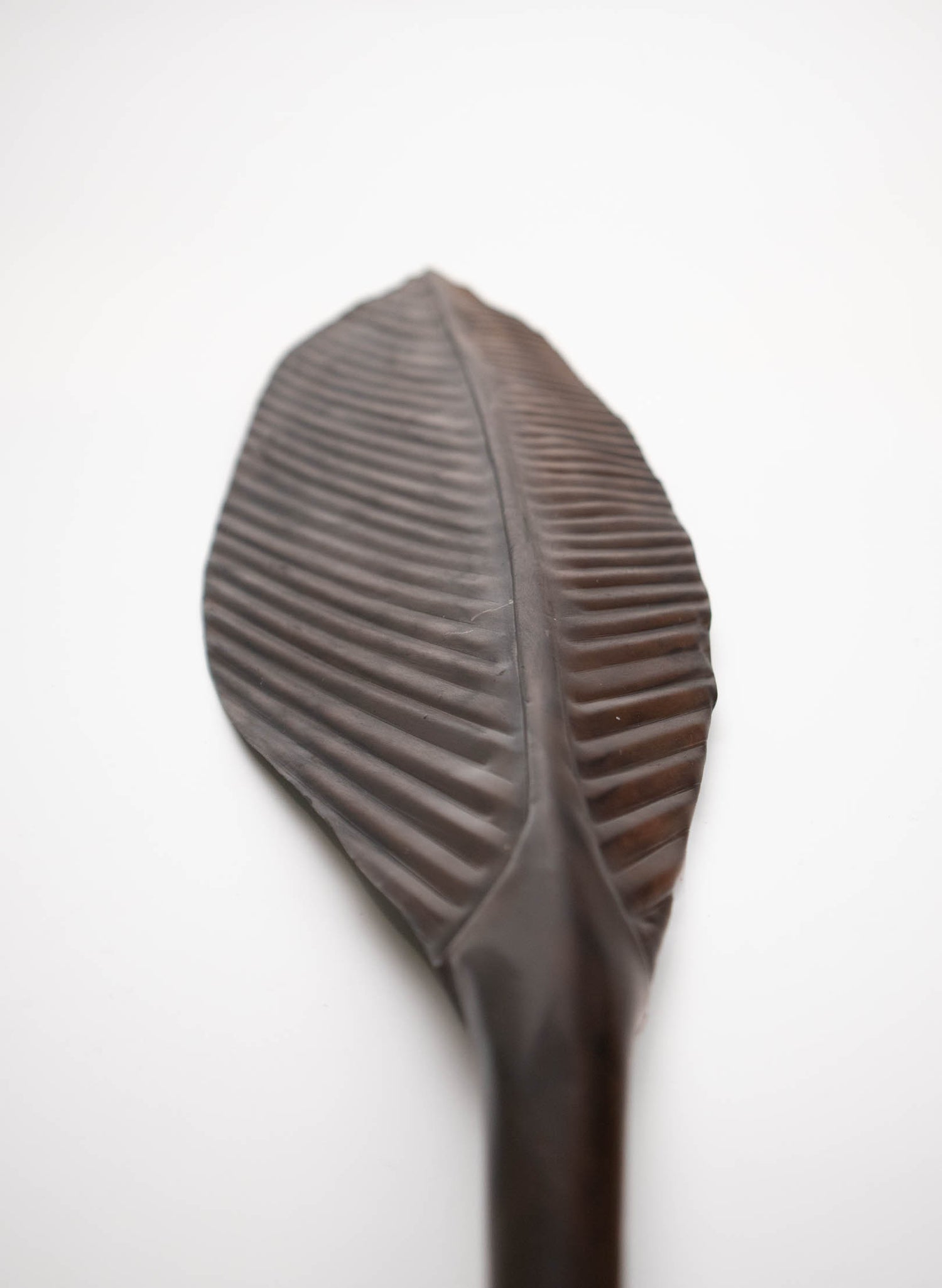 Tūī Copper Feather 660mm