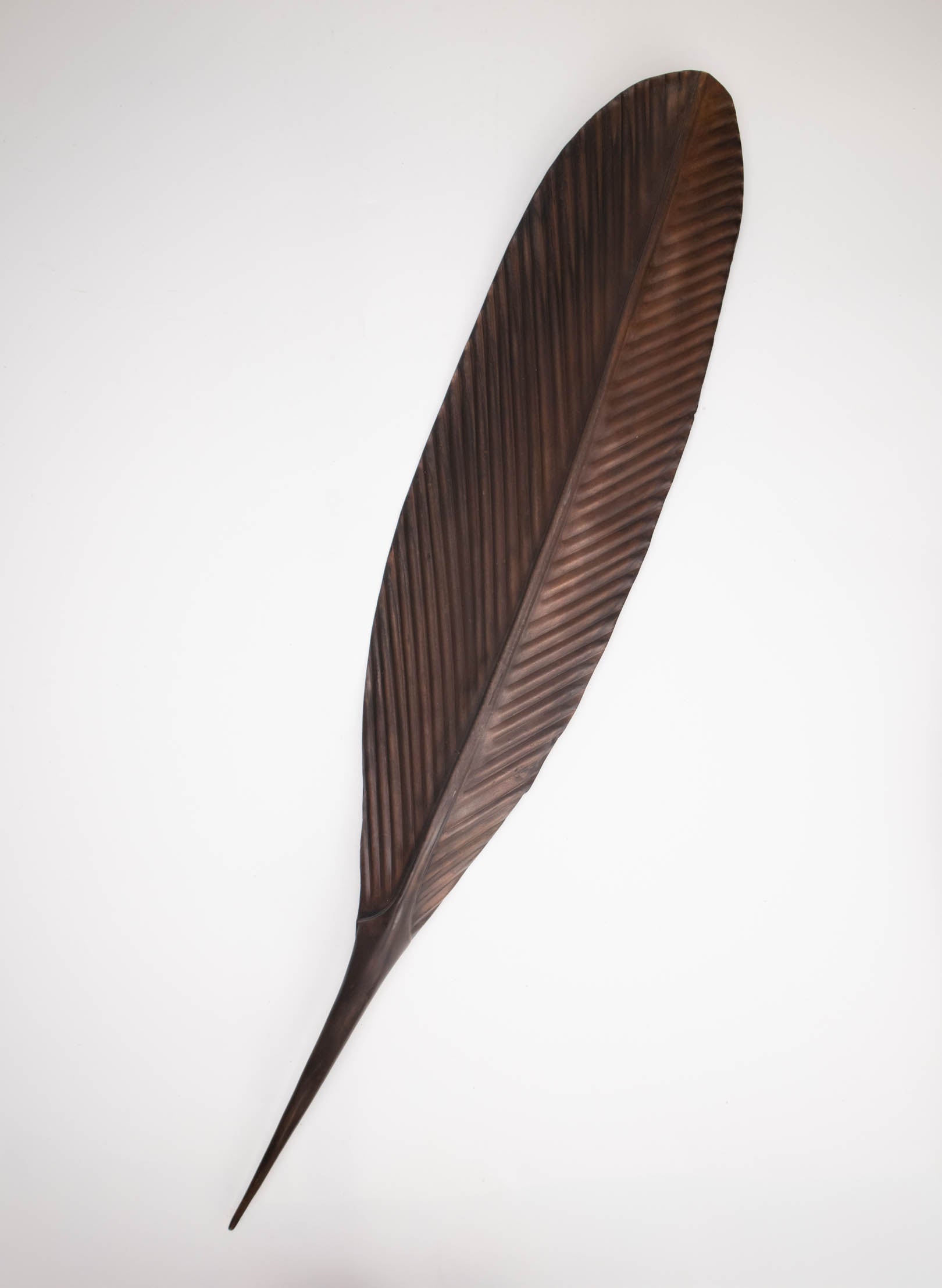 Tui Copper Feather 660mm