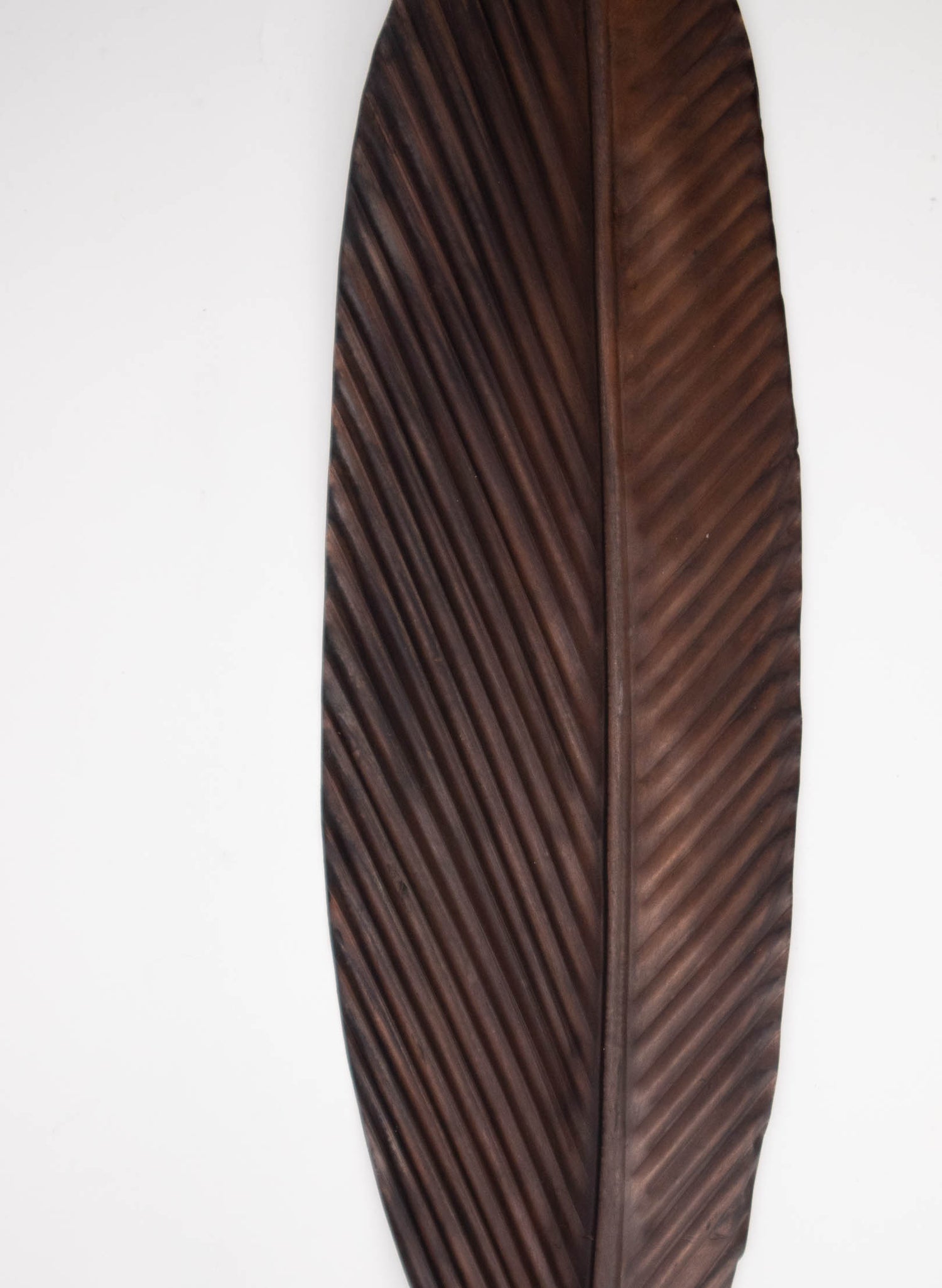 Tūī Copper Feather 660mm