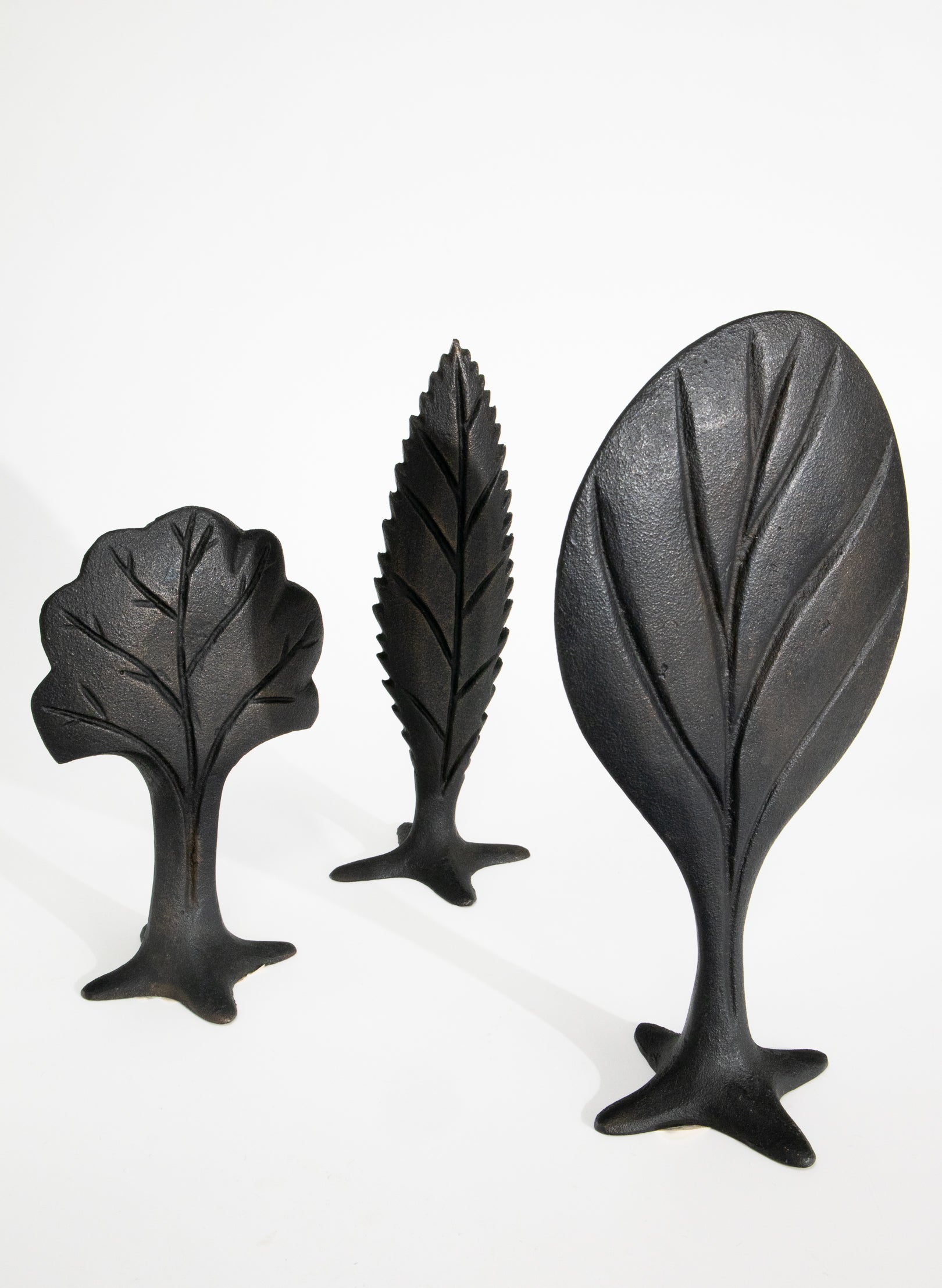 Family Tree - Set Of Three