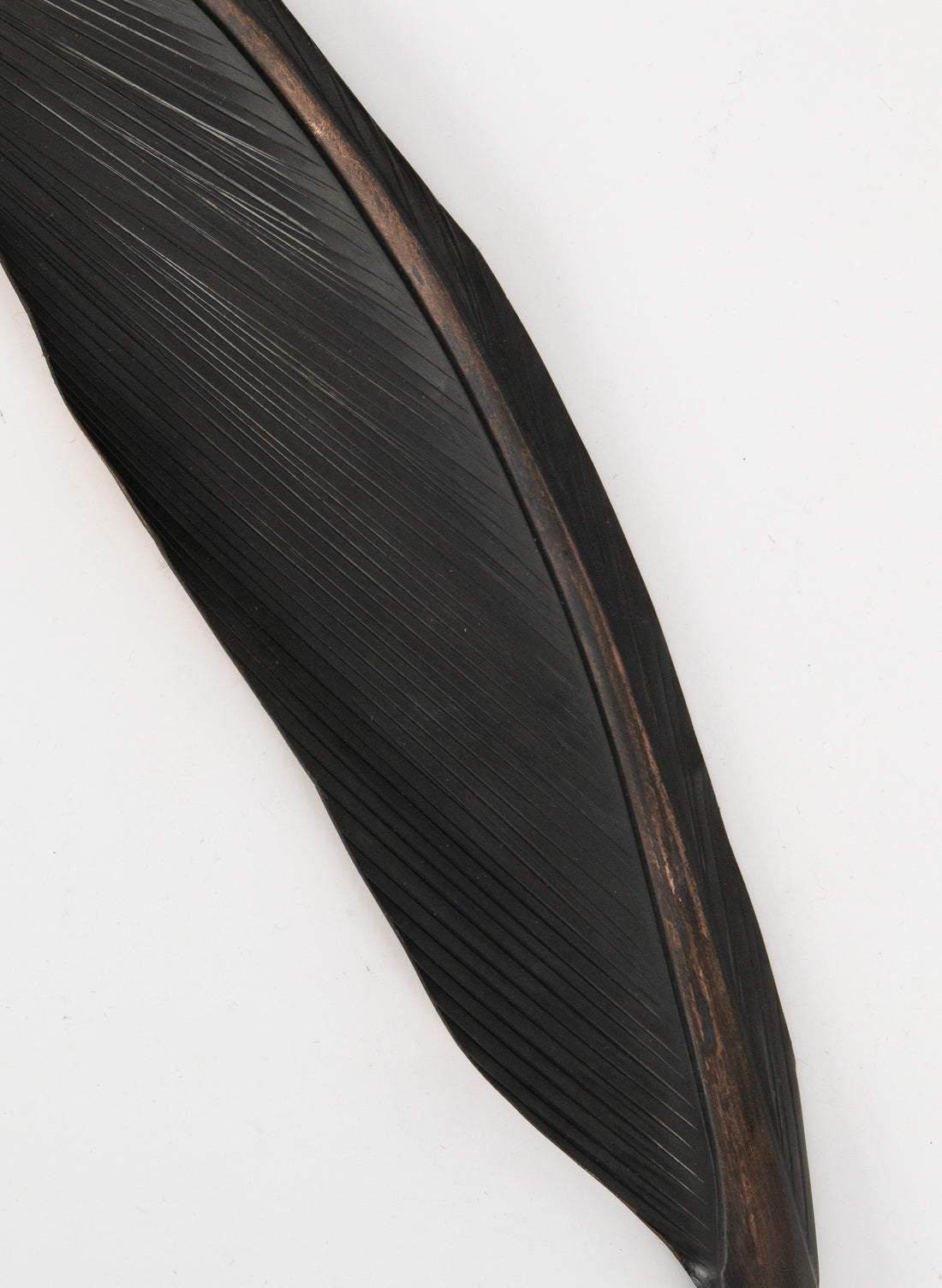 Tui Feather Copper 410mm - Small