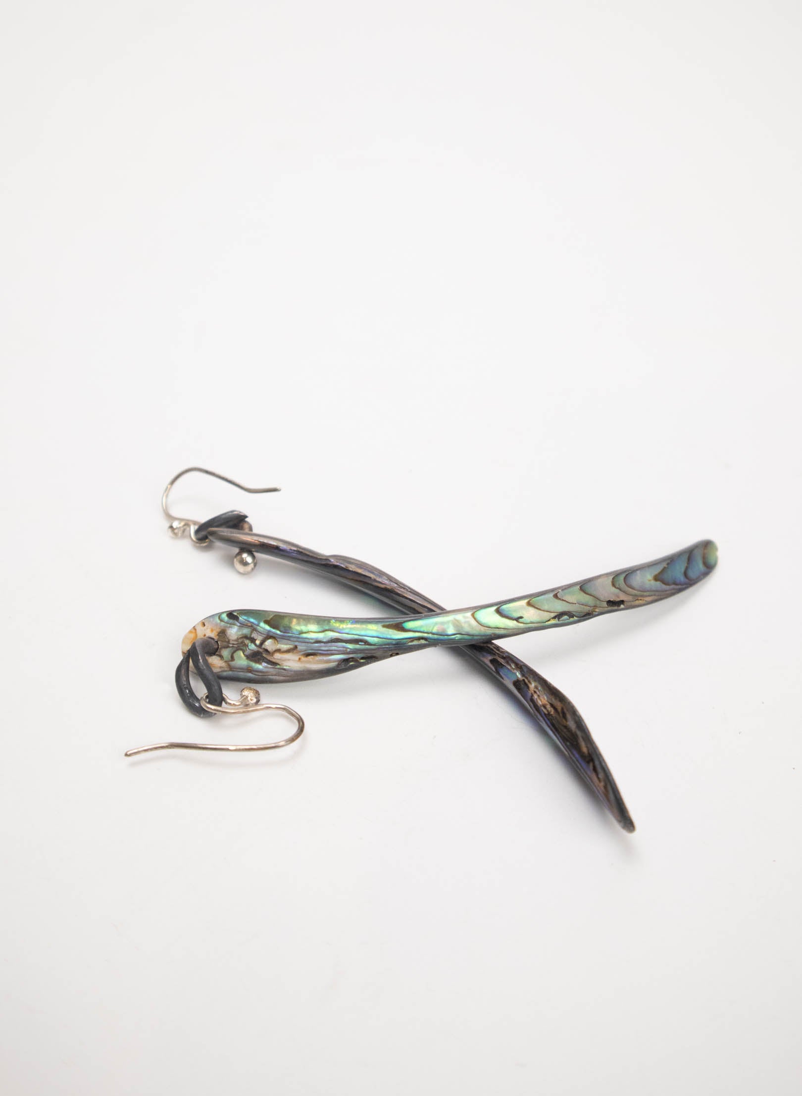 Paua Tusk Earrings