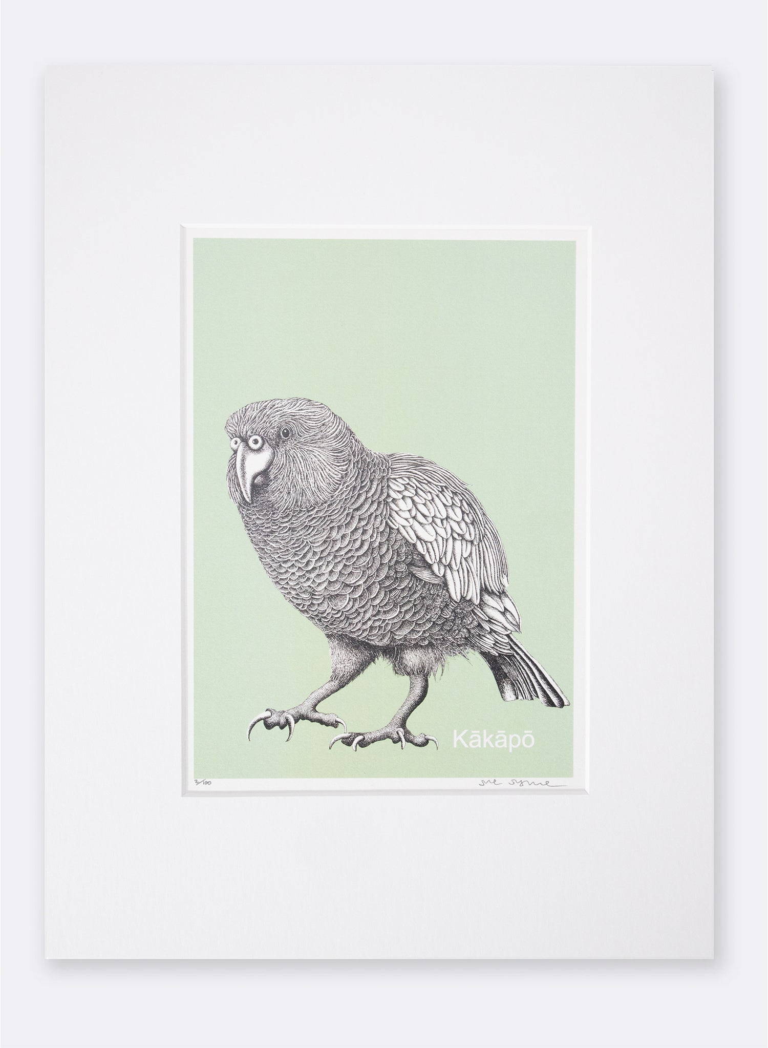 Kākāpō - Digital Print