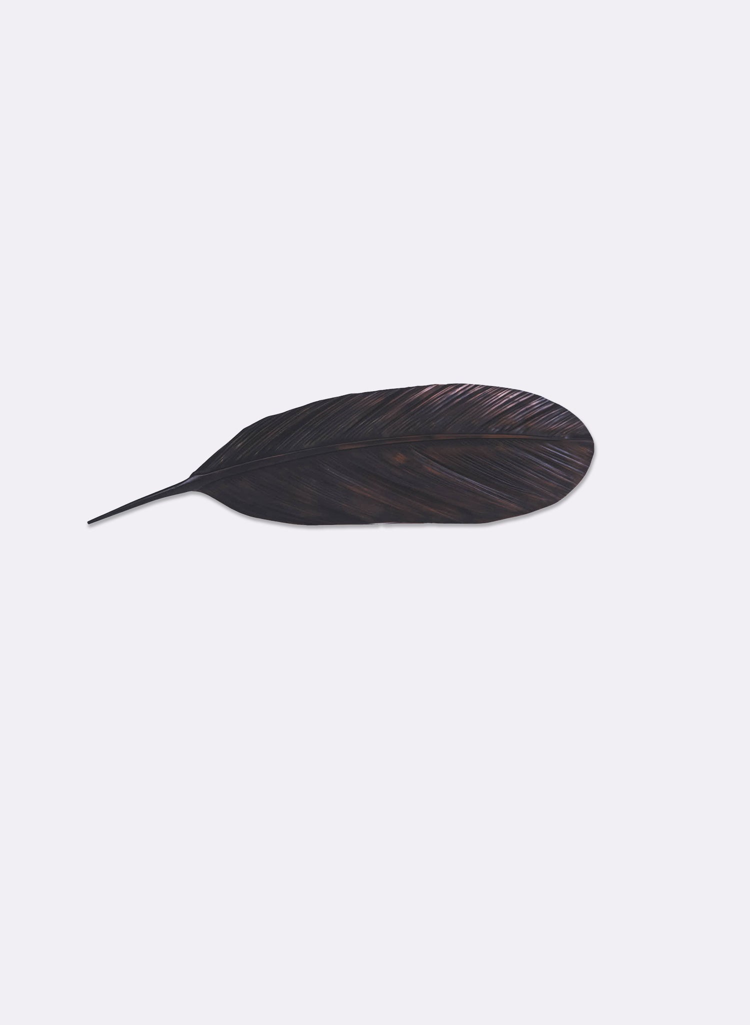 Tui Copper Feather 555mm