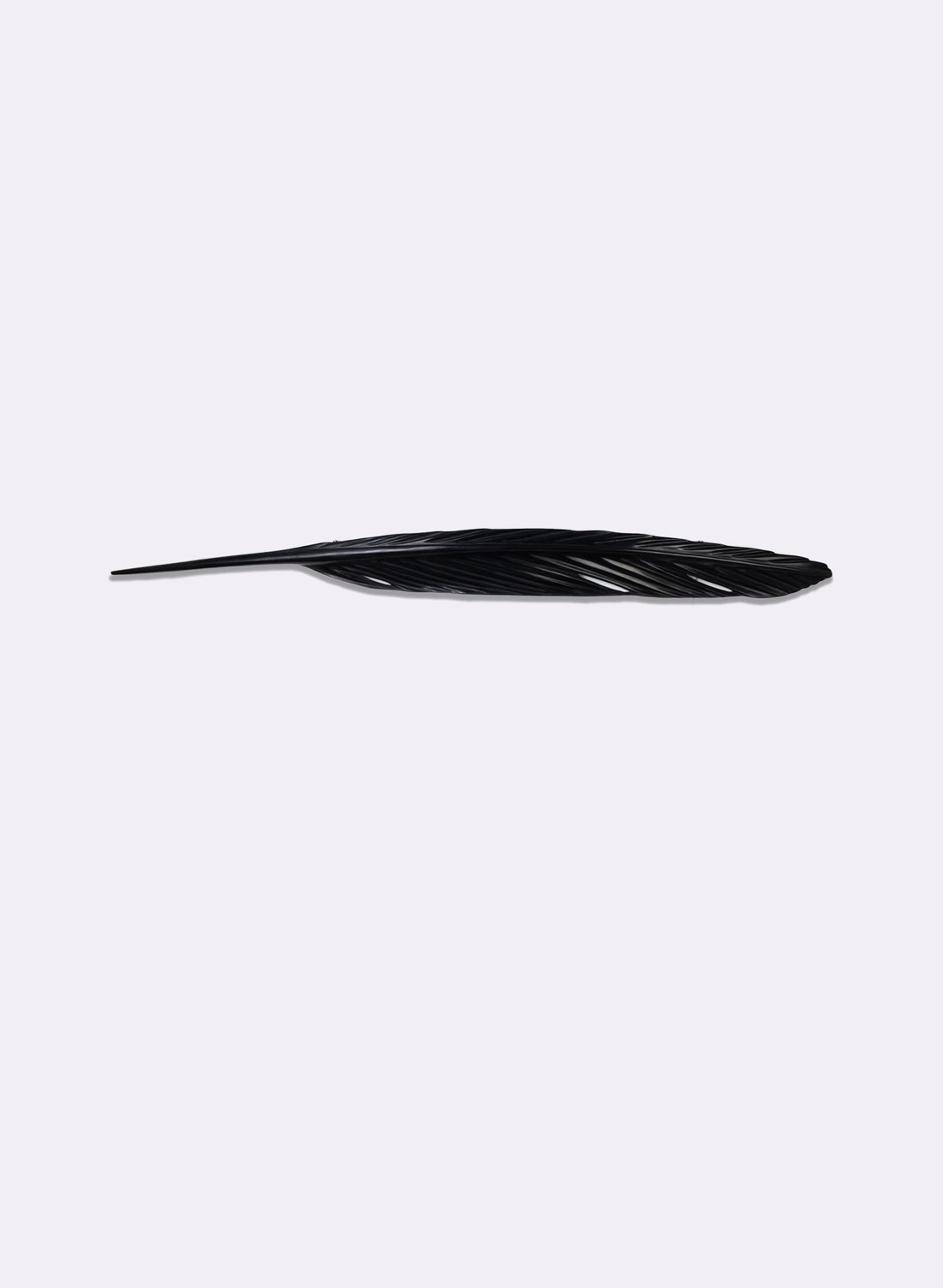 Tui Feather 1520mm - Black Swamp Kauri