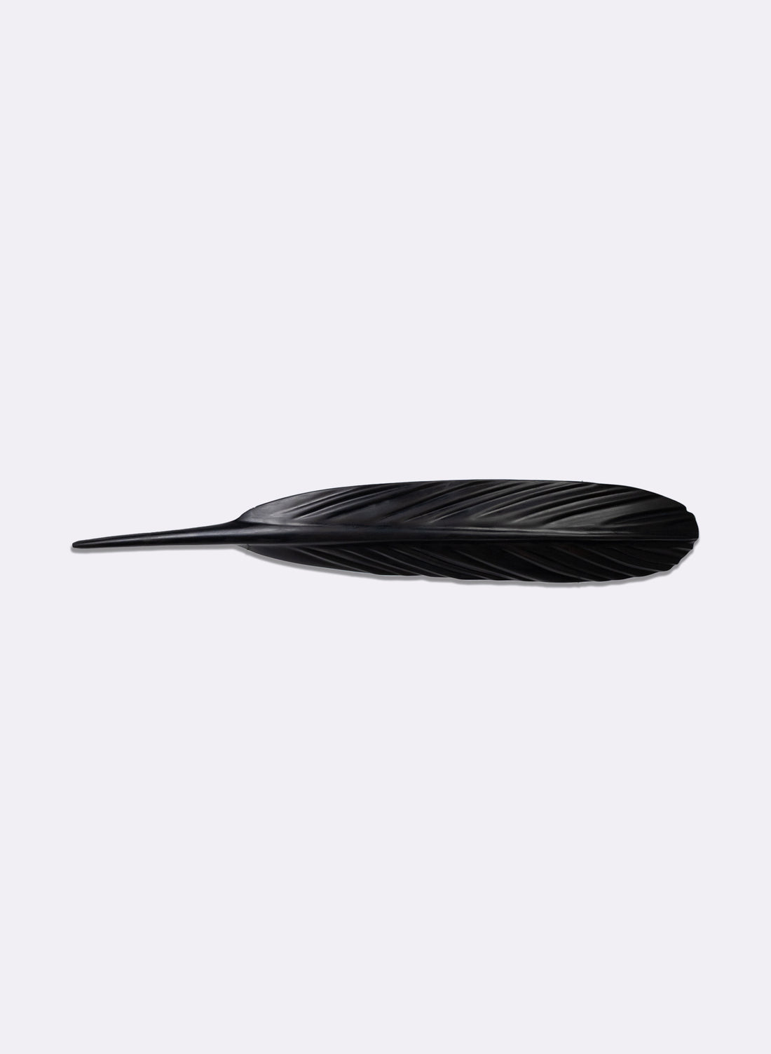 Tui Feather 800mm - Black Swamp Kauri