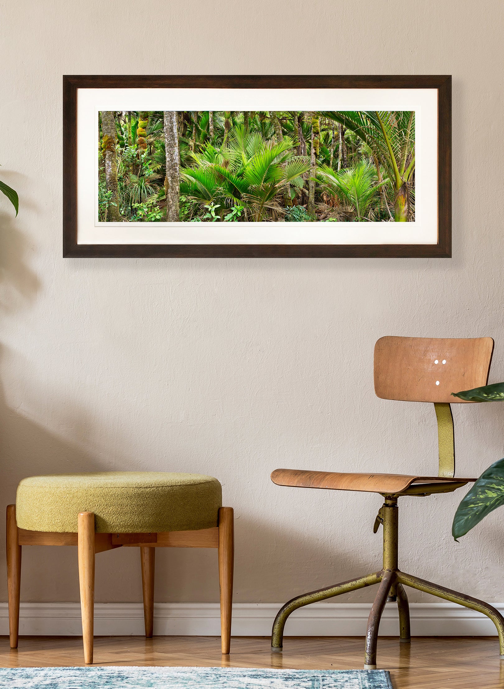 Nikau Central - Photographic Print