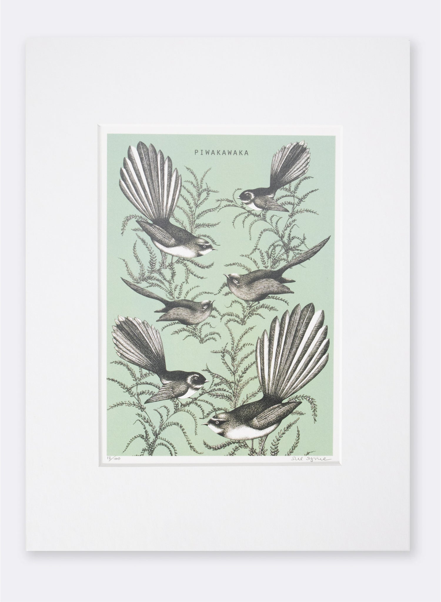 Fantail (Green) - Digital Print