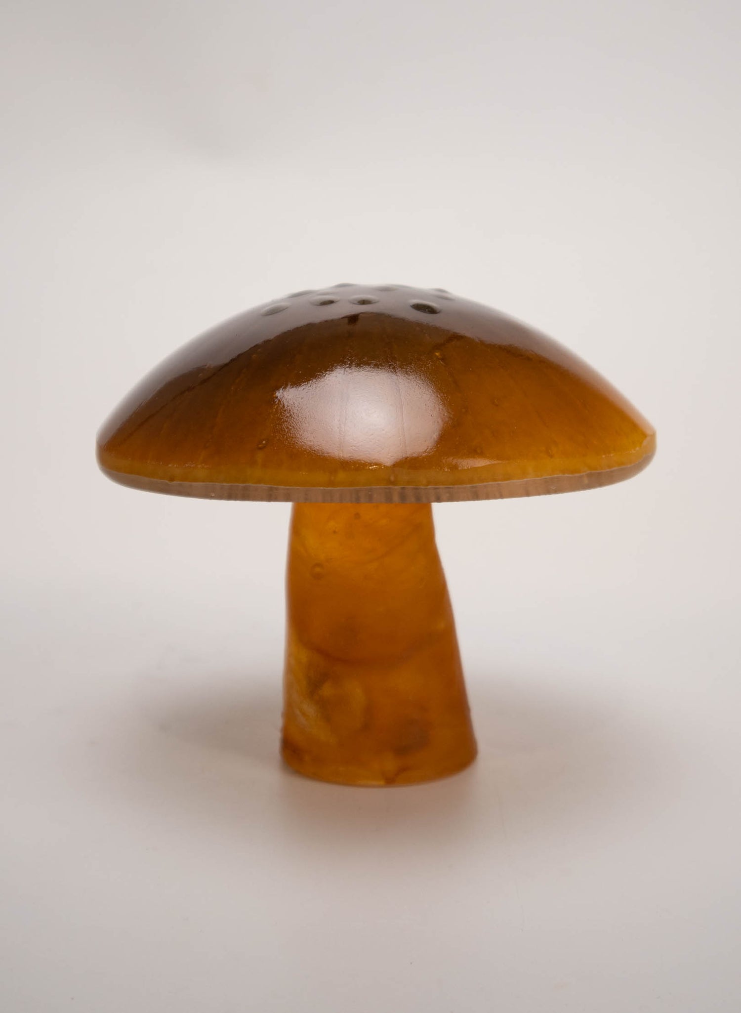 Brown Mushroom - Medium