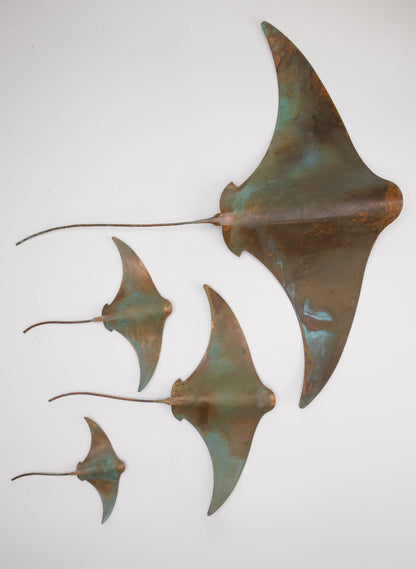 Stingray - Set of 4