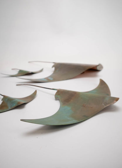 Stingray - Set of 4