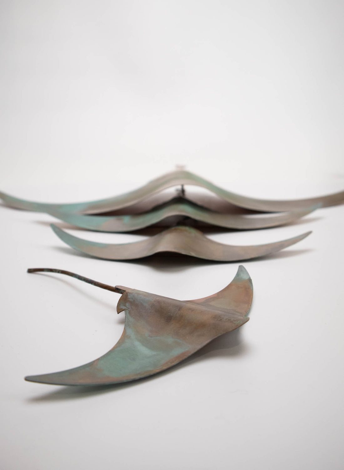 Stingray - Set of 4