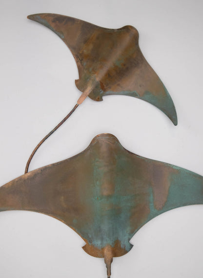 Stingray - Set of 4