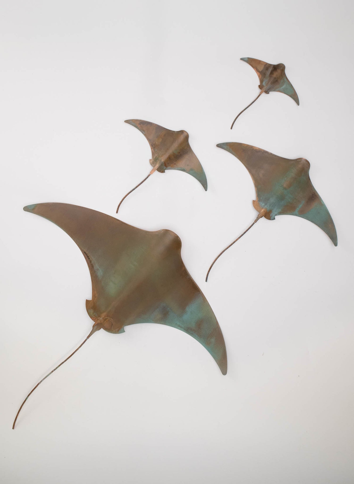 Stingray - Set of 4