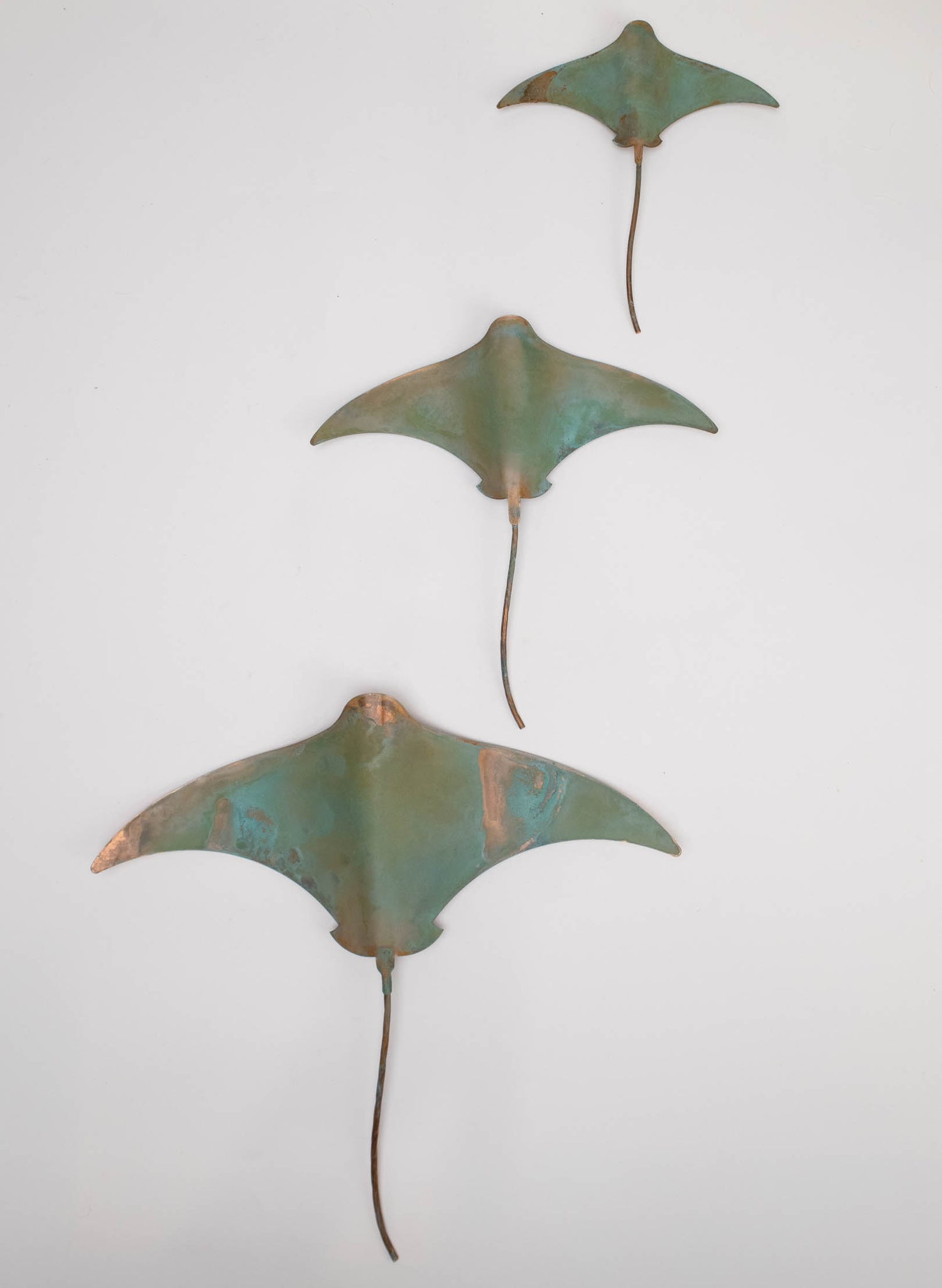 Stingray - Set of 3