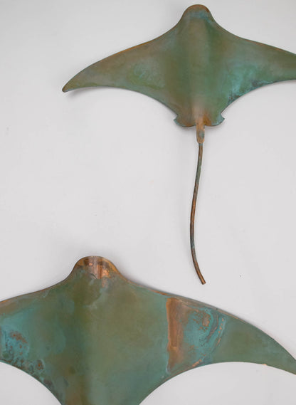 Stingray - Set of 3