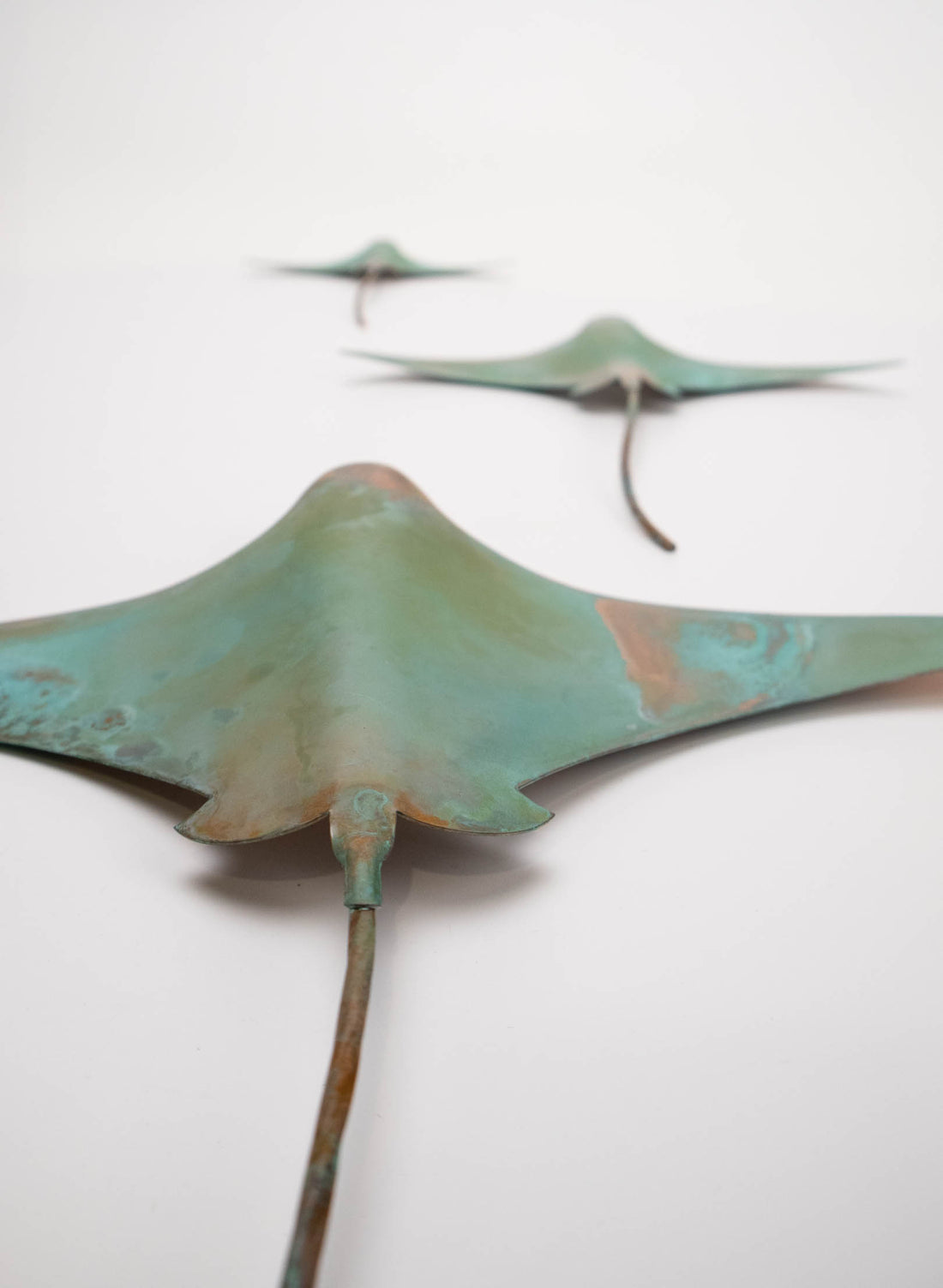 Stingray - Set of 3