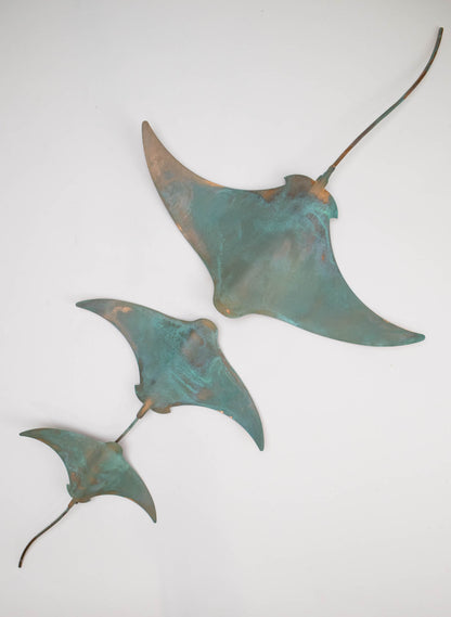 Stingray - Set of 3