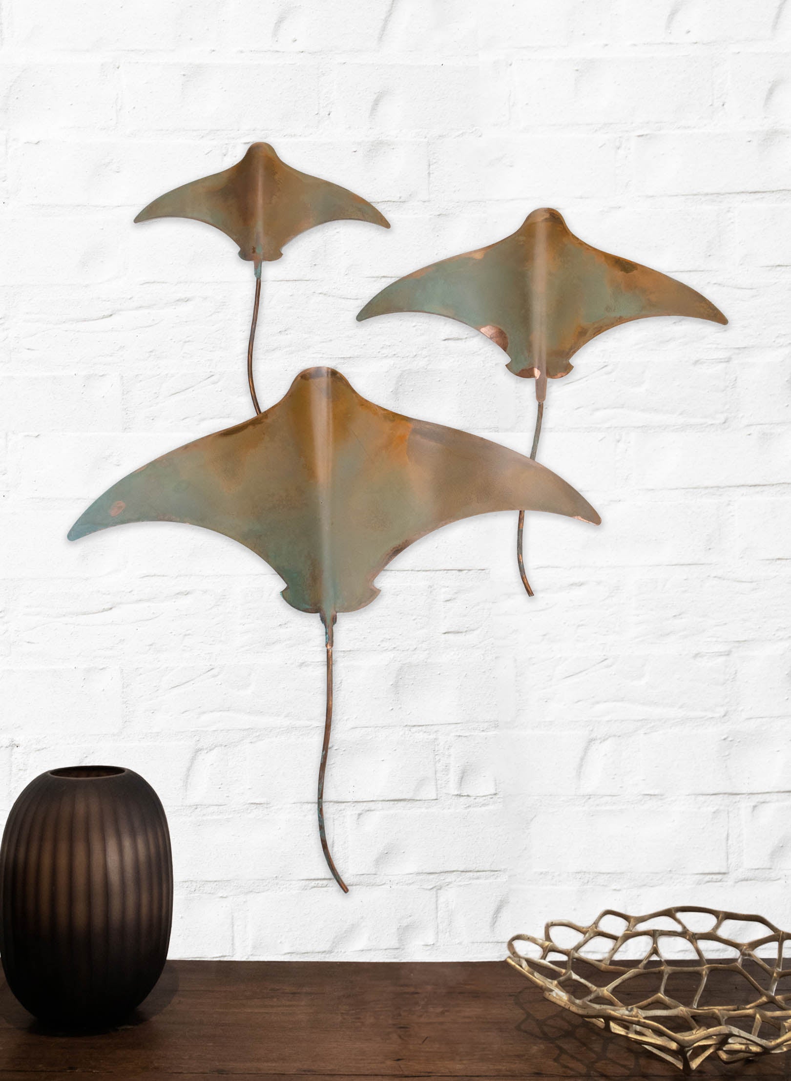 Stingray - Set of 3