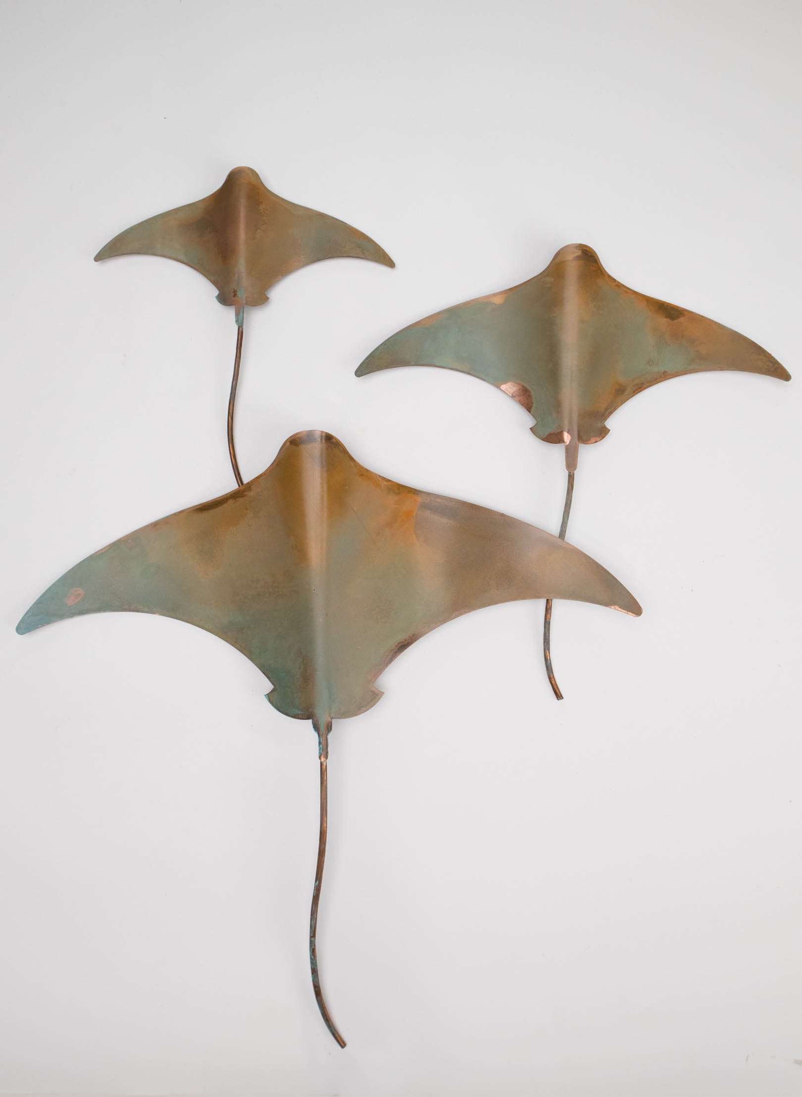 Stingray - Set of 3