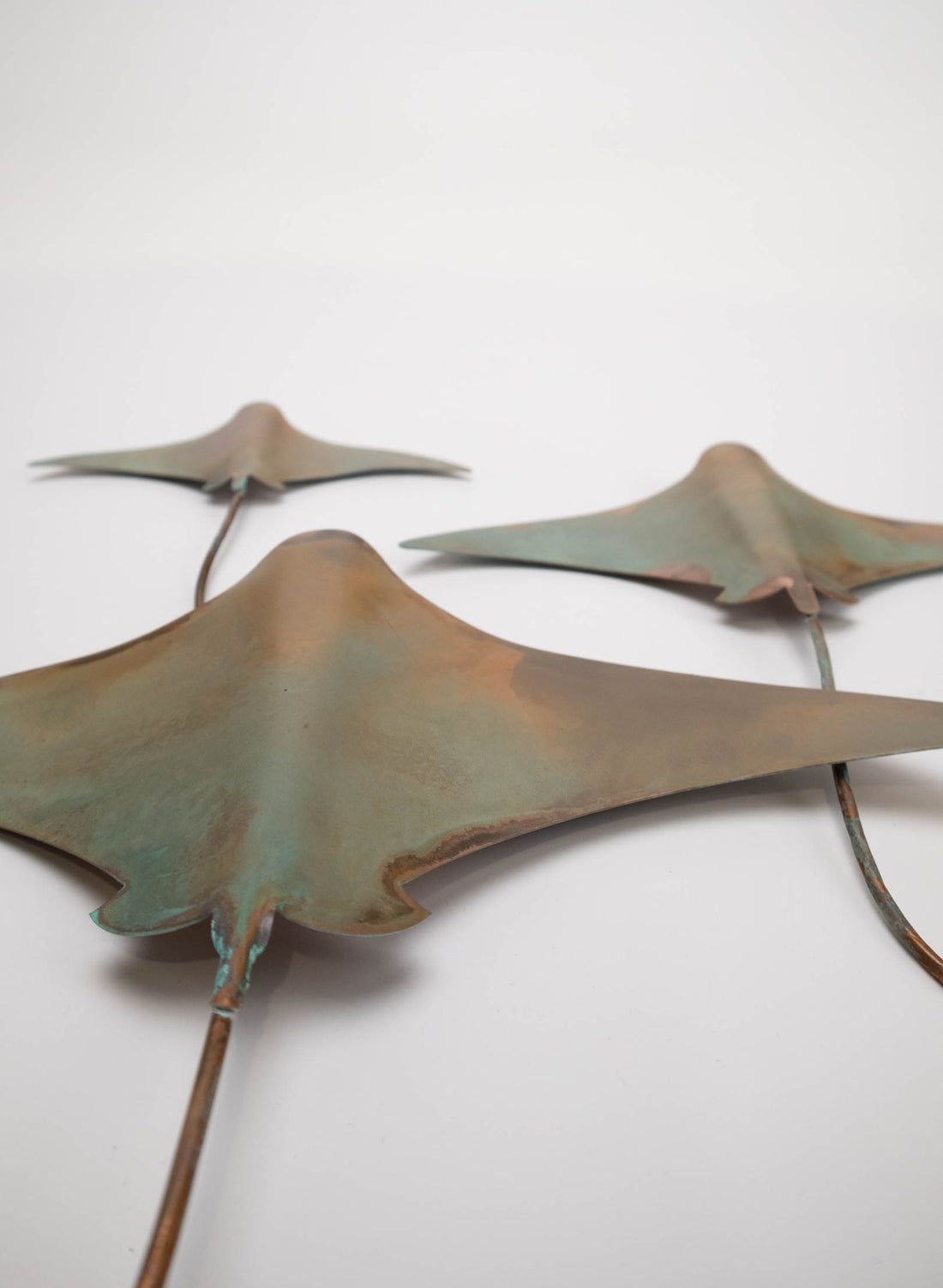 Stingray - Set of 3