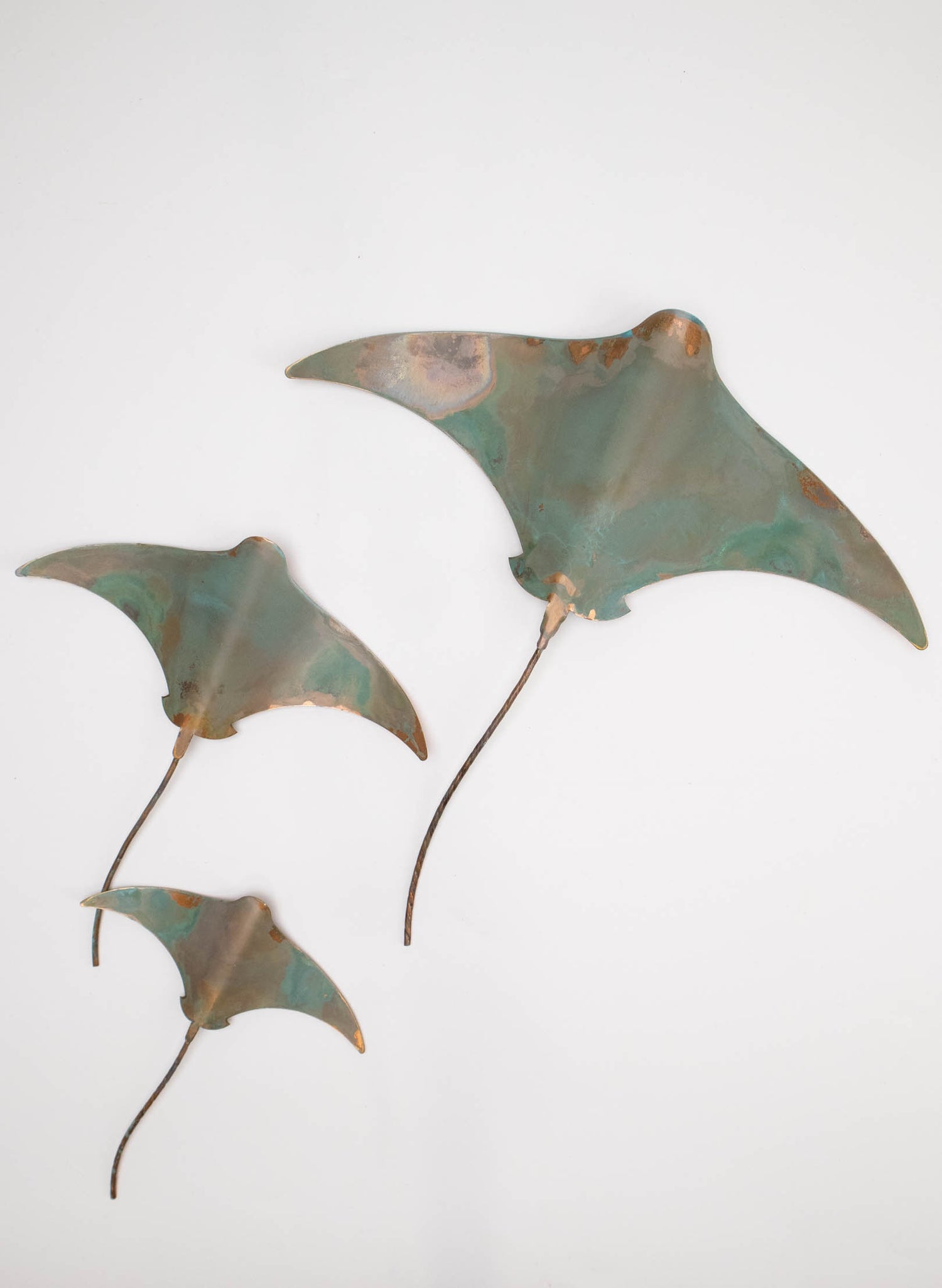 Stingray - Set of 3