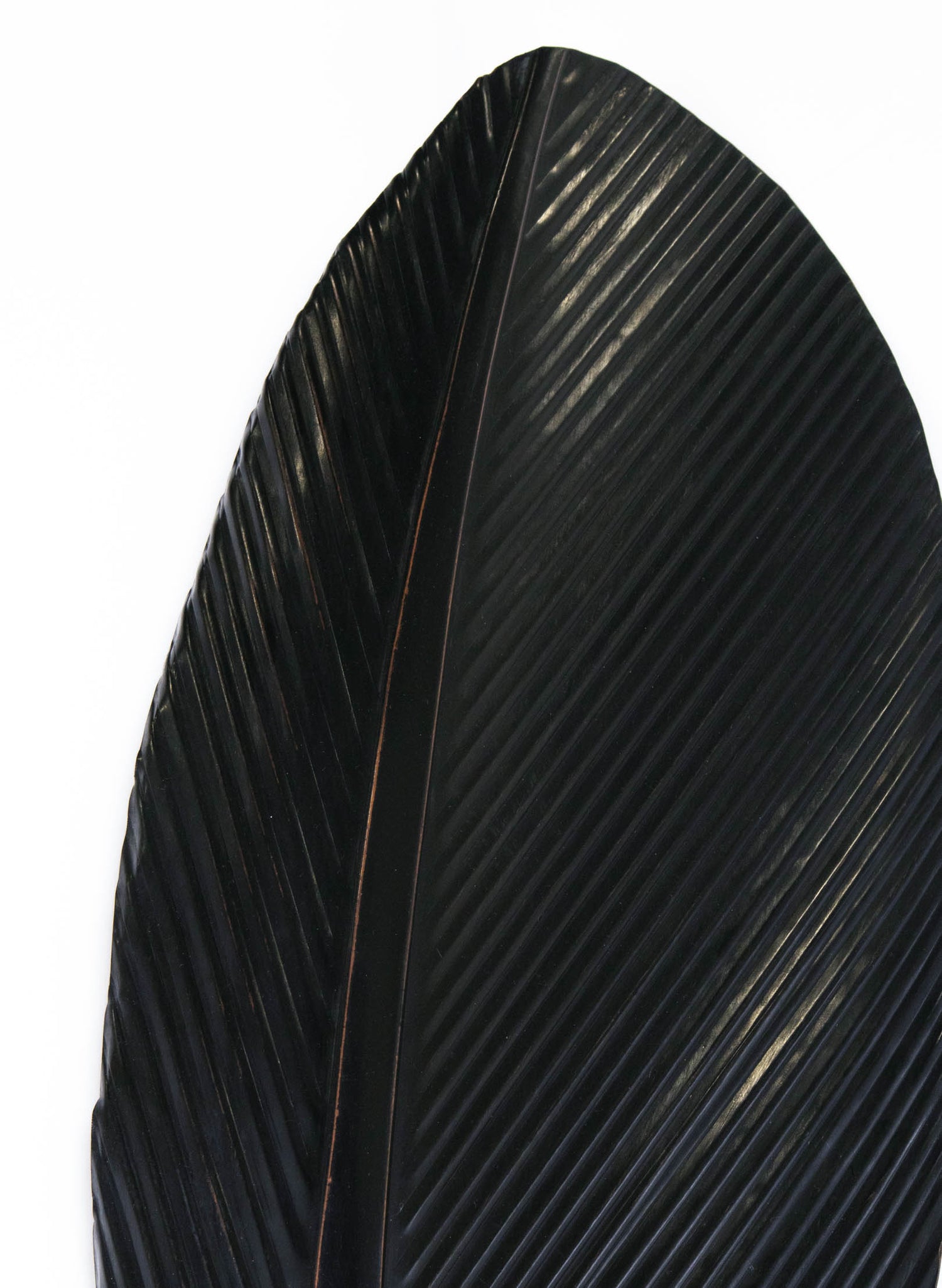 Tui Copper Feather 1150mm