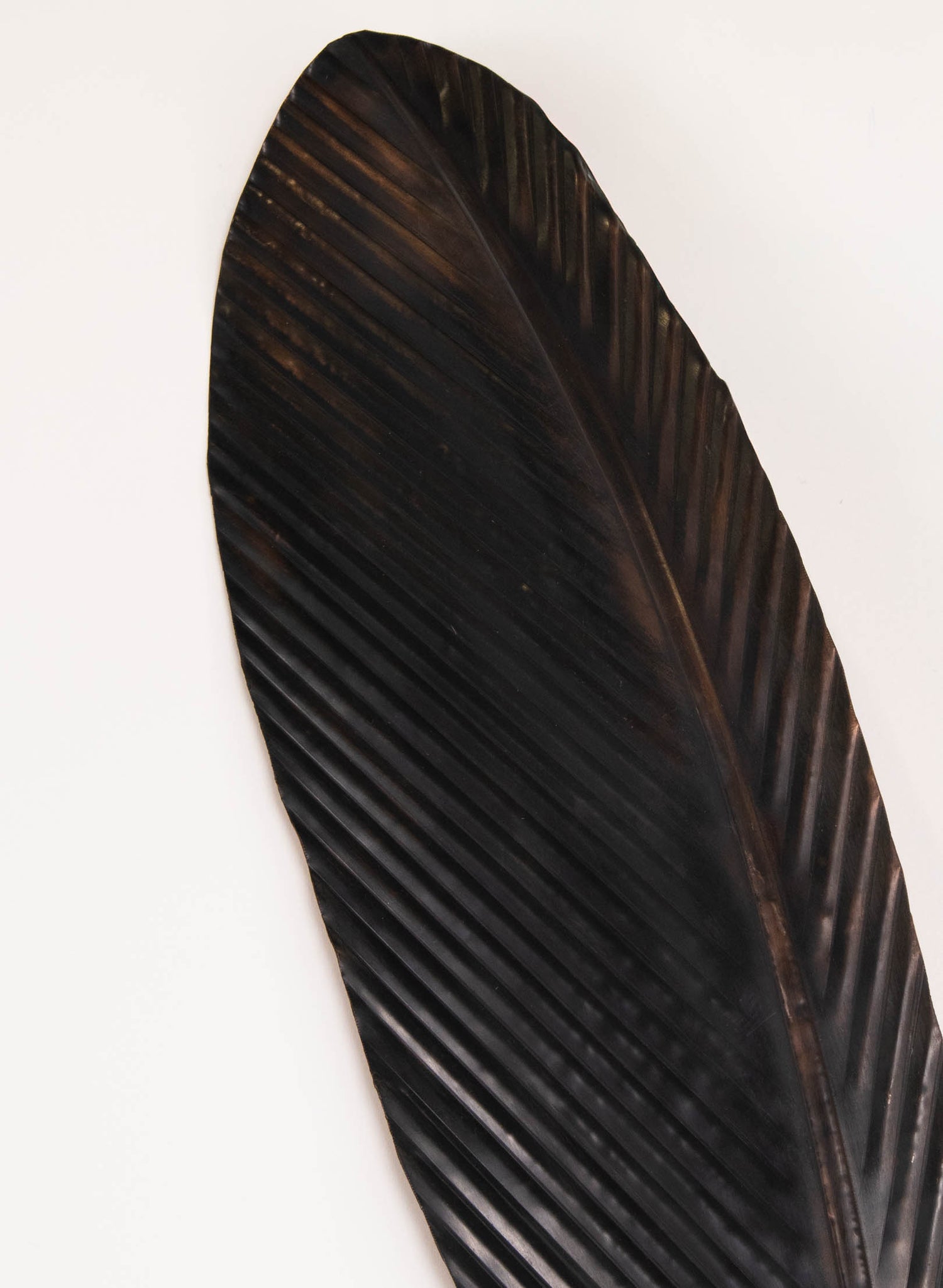 Tui Copper Feather 740mm