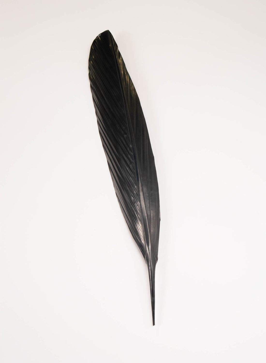 Tui Copper Feather 645mm