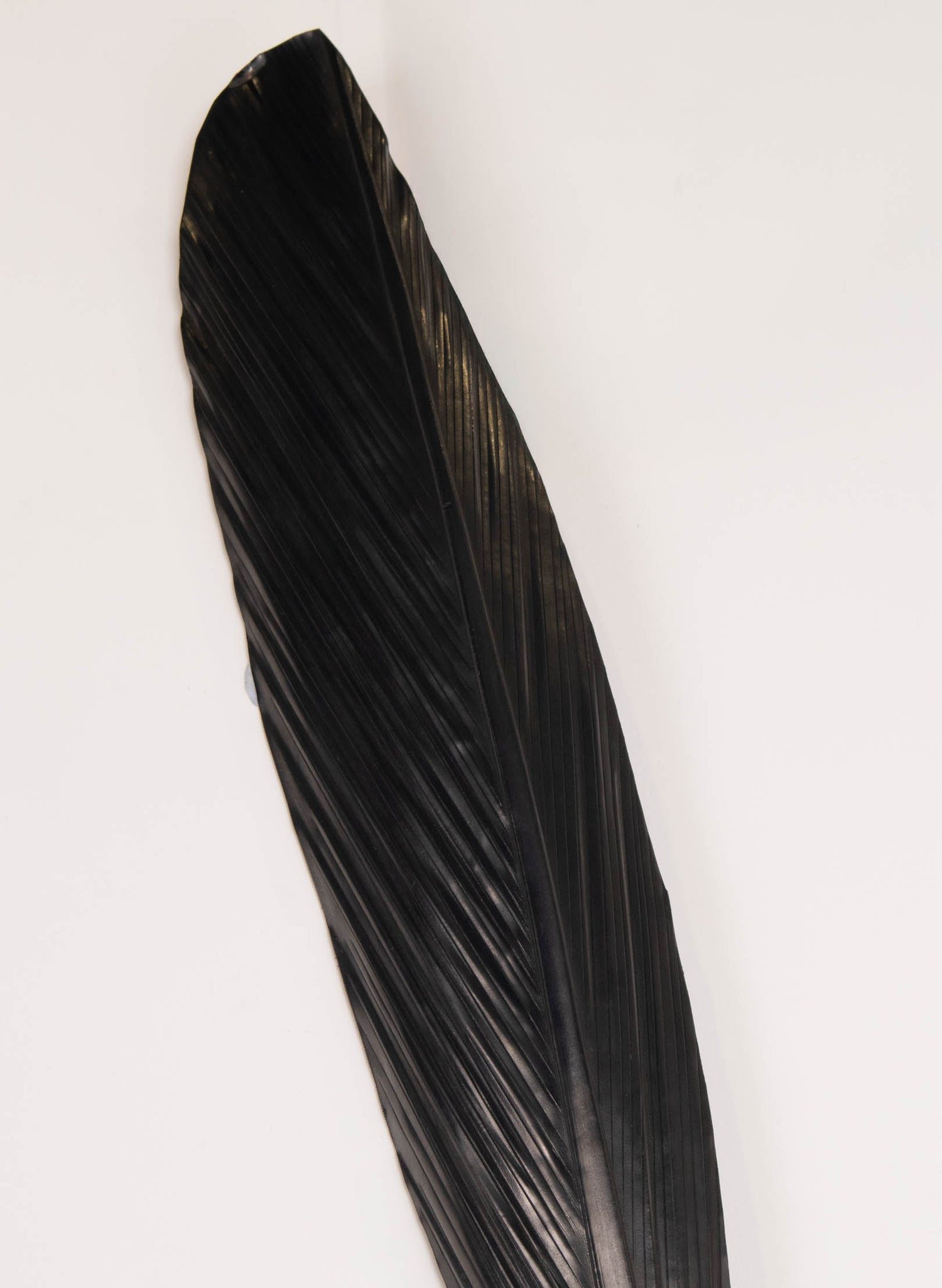 Tui Copper Feather 645mm