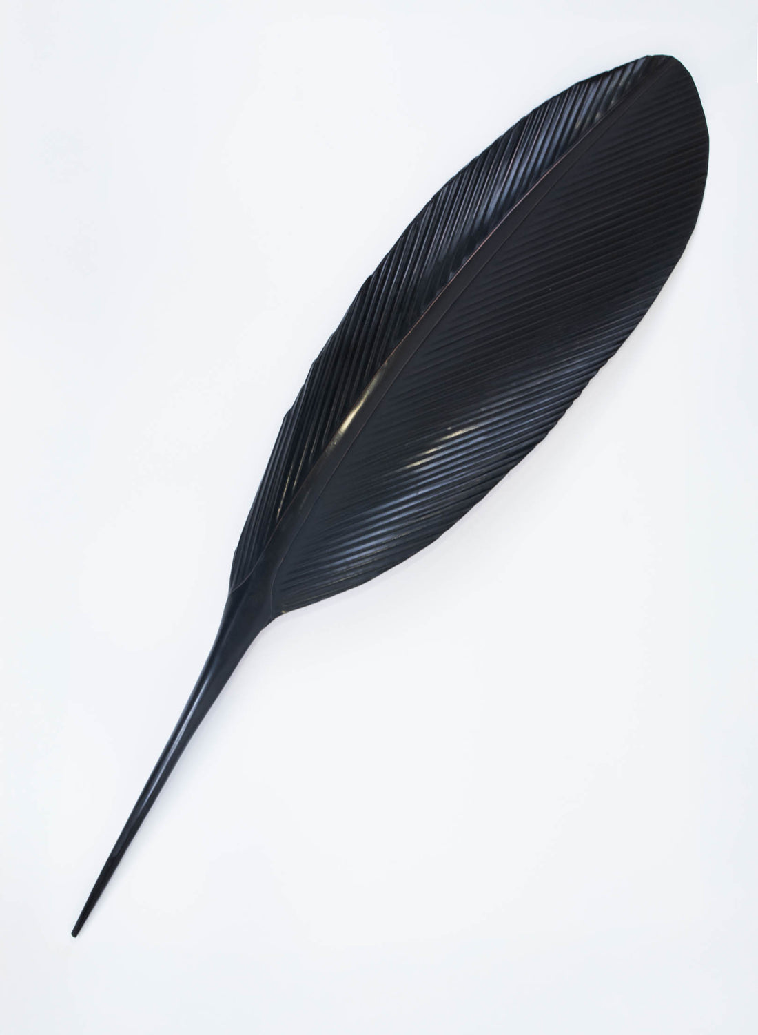 Tui Copper Feather 1150mm