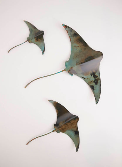 Stingray - Set of 3