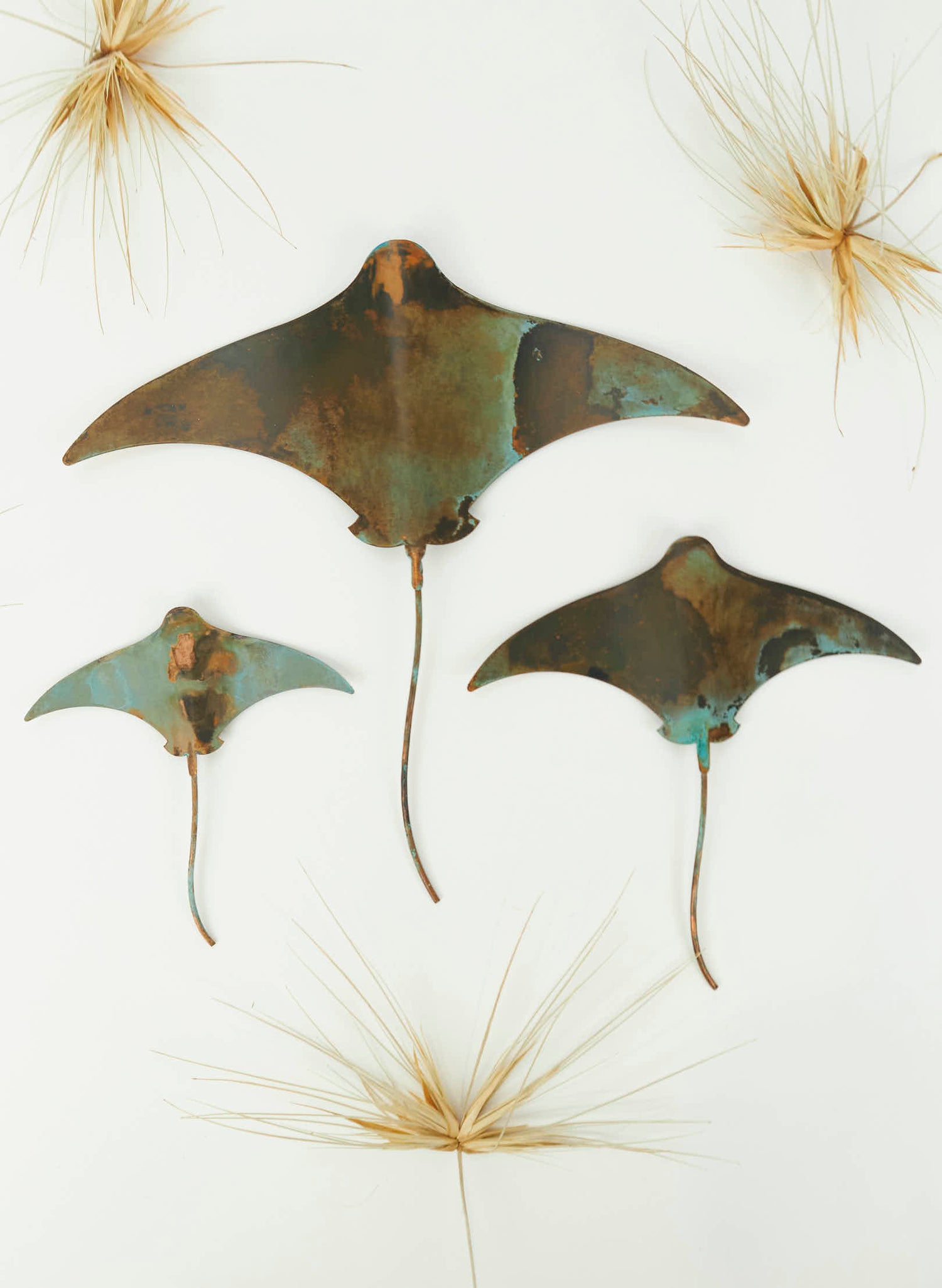 Stingray - Set of 3