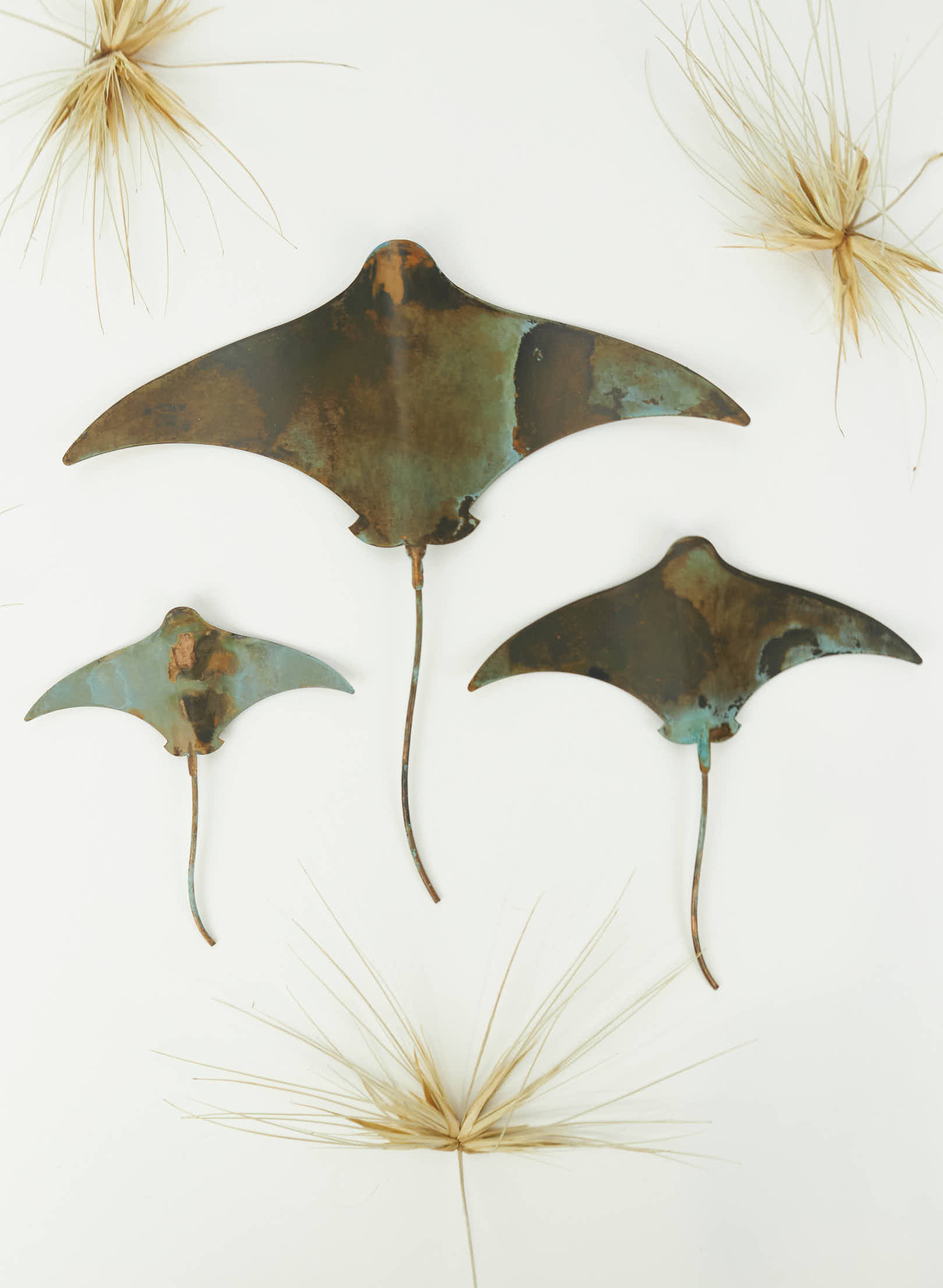 Stingray - Set of 3