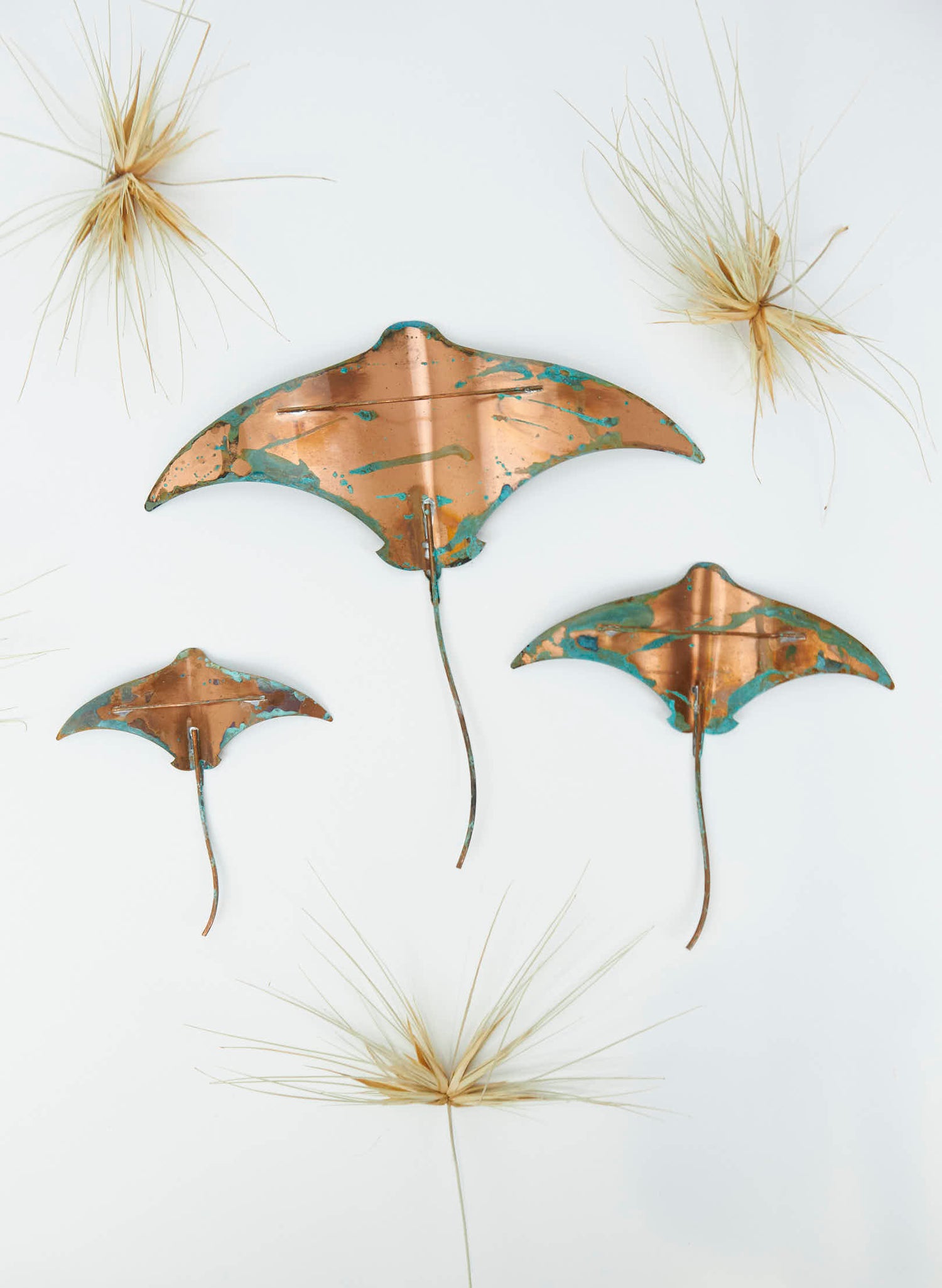 Stingray - Set of 3