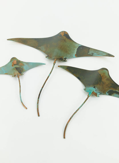 Stingray - Set of 3