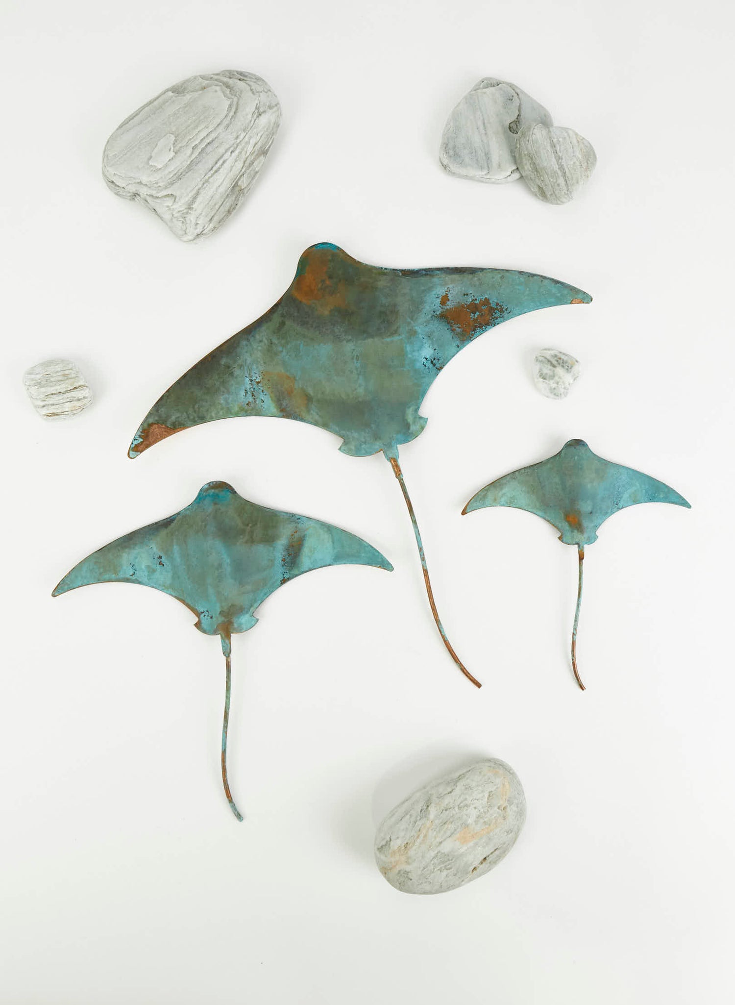 Stingray - Set of 3