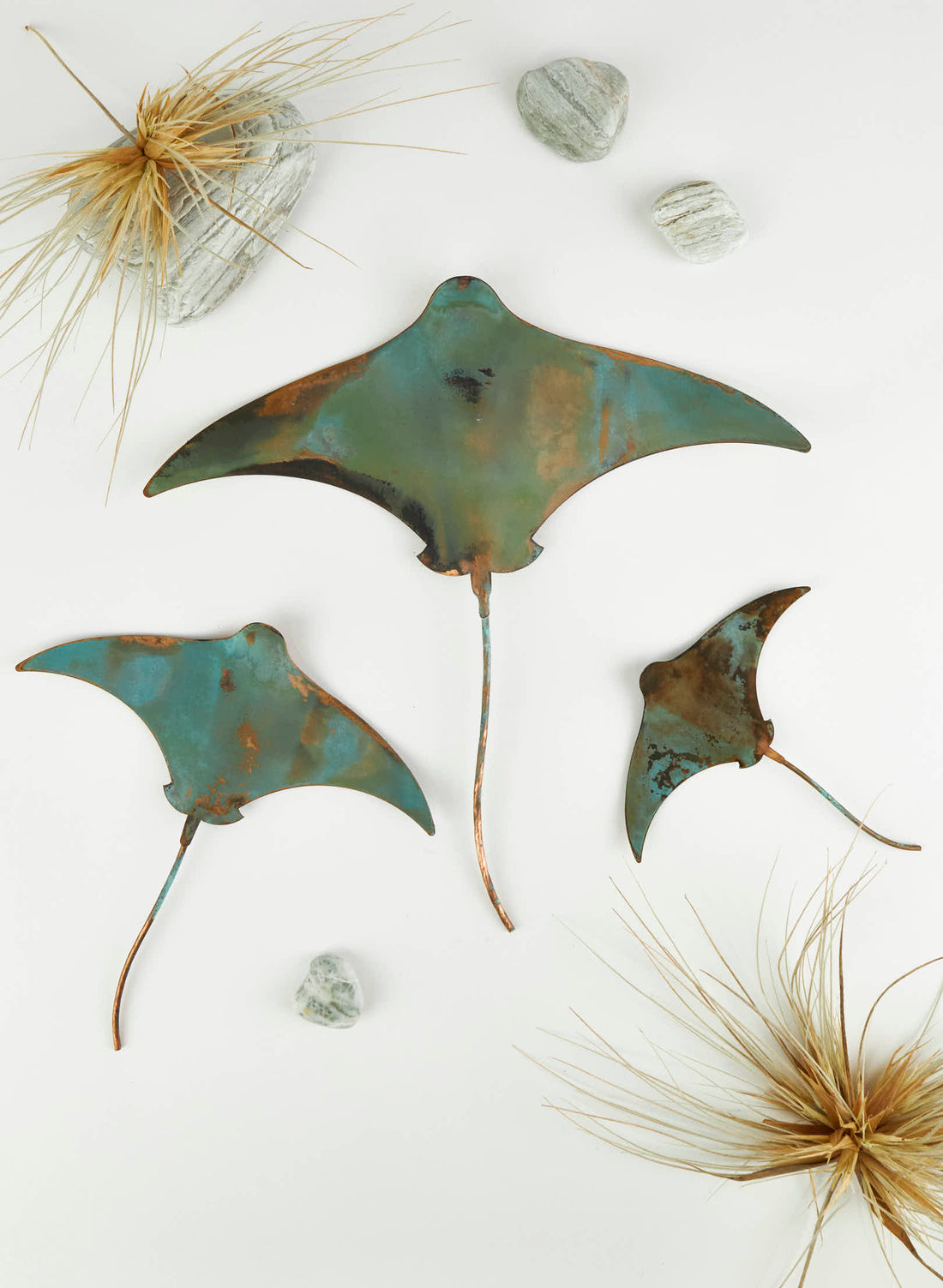 Stingray - Set of 3