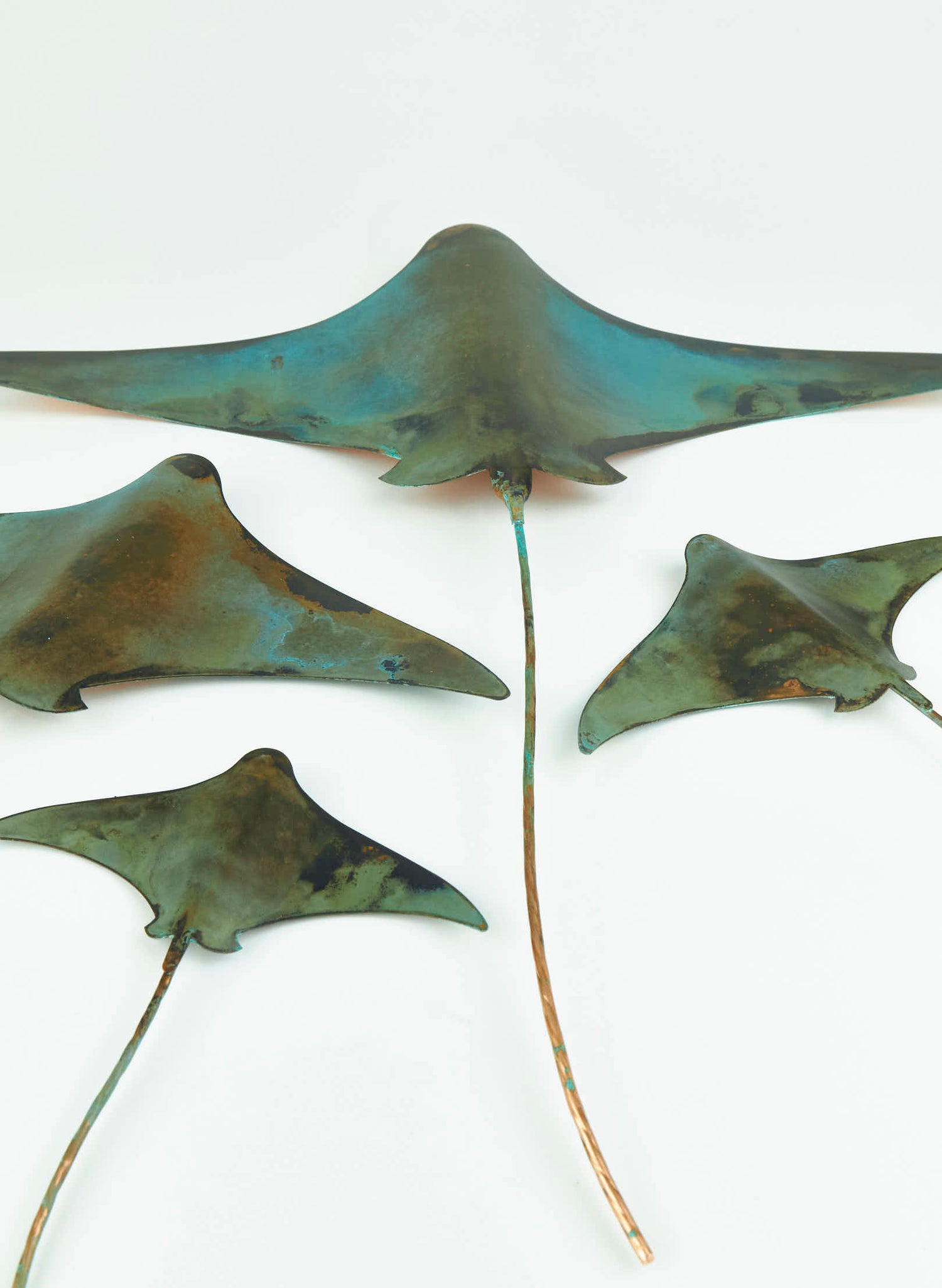 Stingray - Set of 4