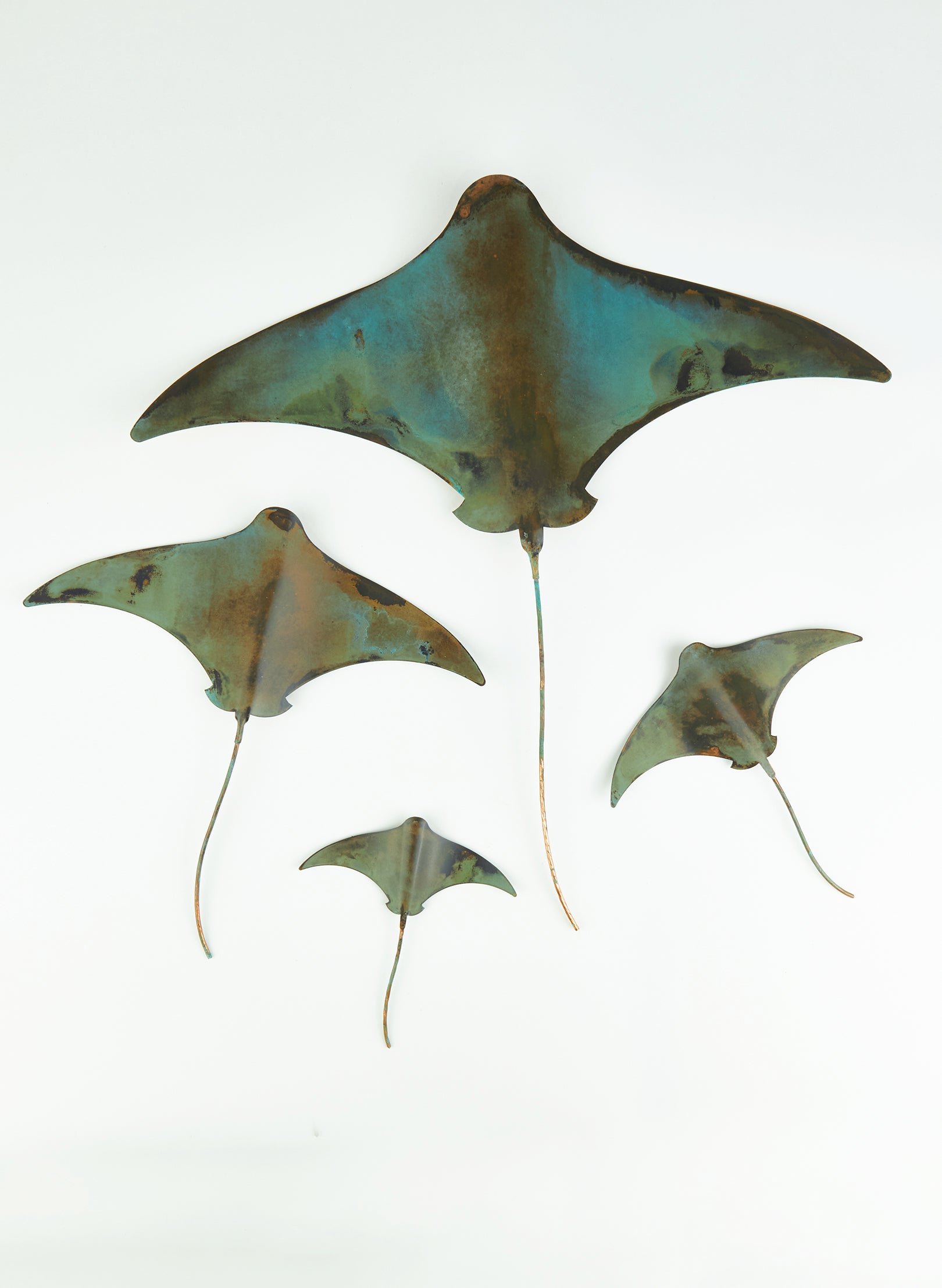 Stingray - Set of 4