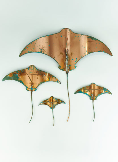 Stingray - Set of 4