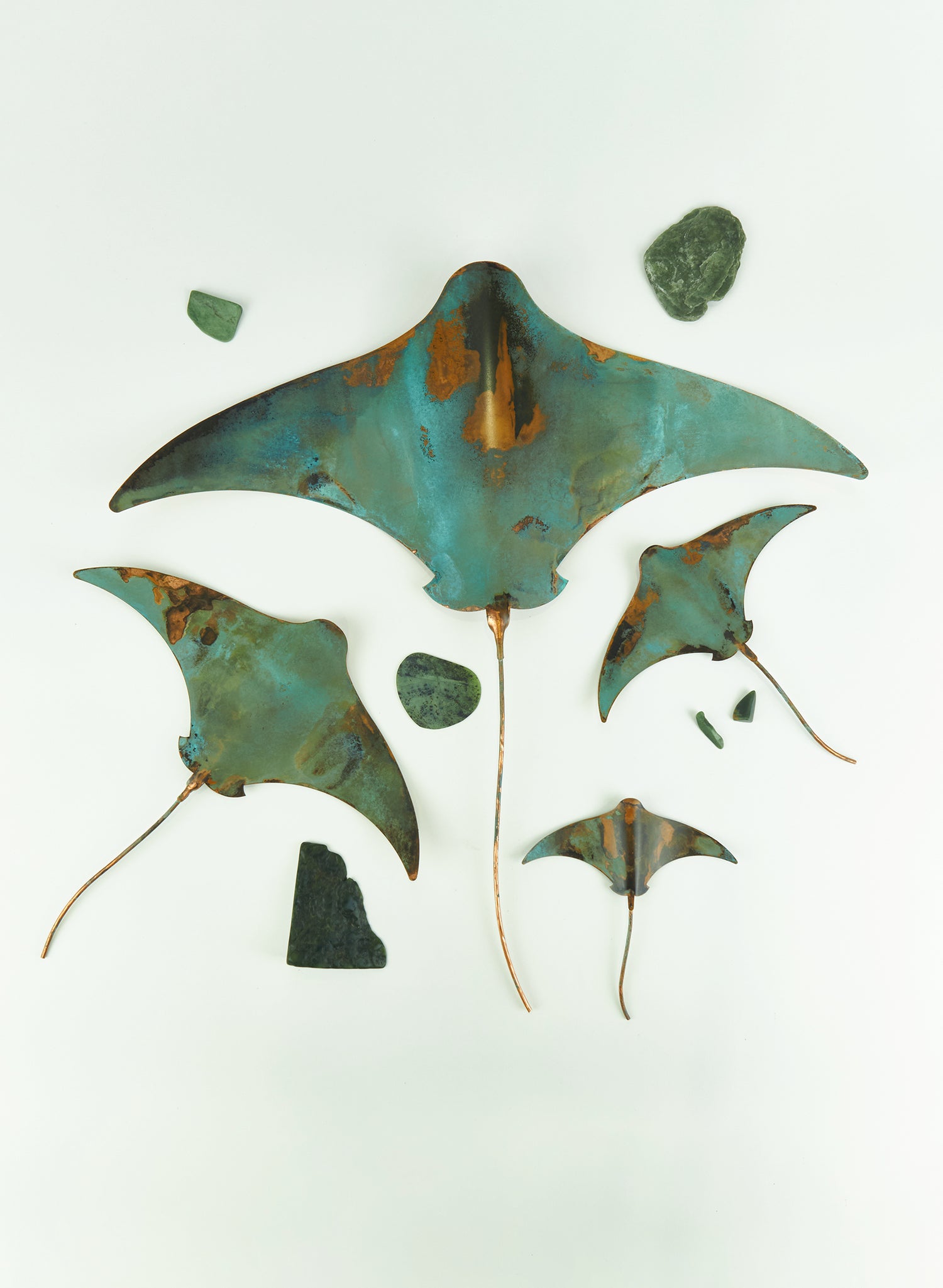 Stingray - Set of 4