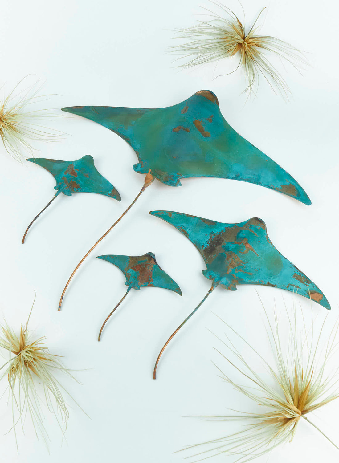 Stingray - Set of 4