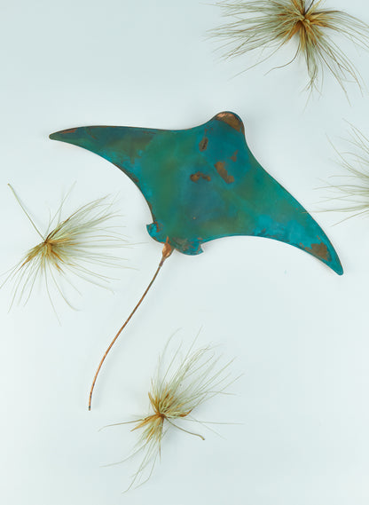 Stingray - Set of 4