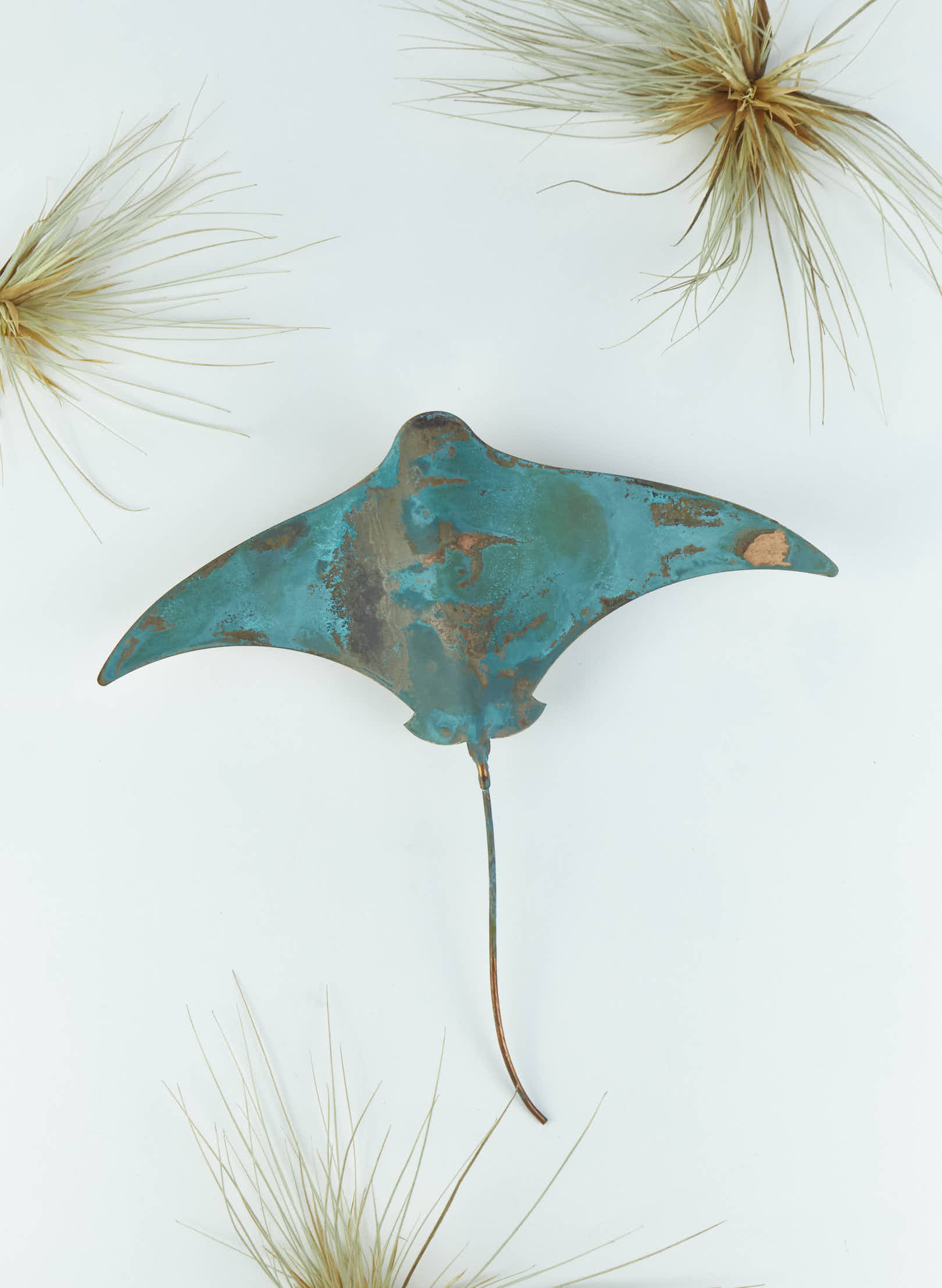 Stingray - Set of 4