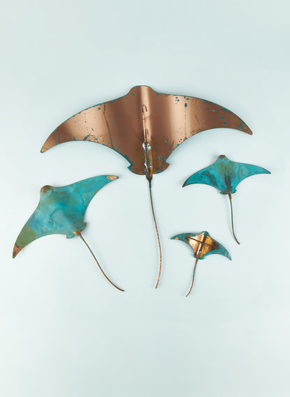 Stingray - Set of 4