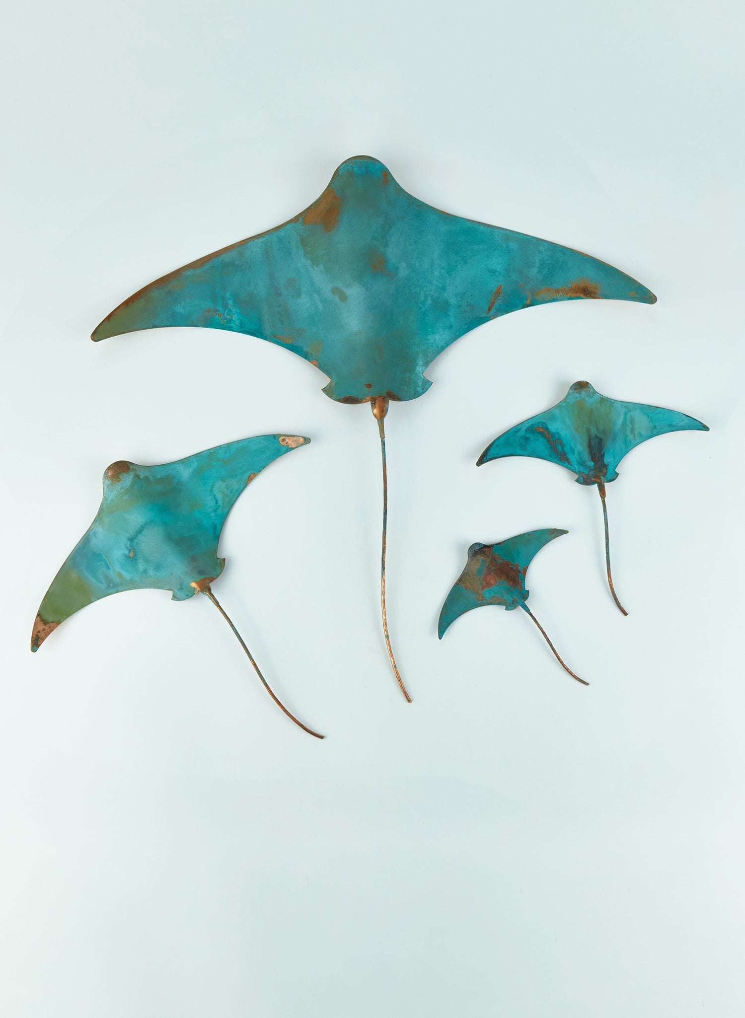 Stingray - Set of 4