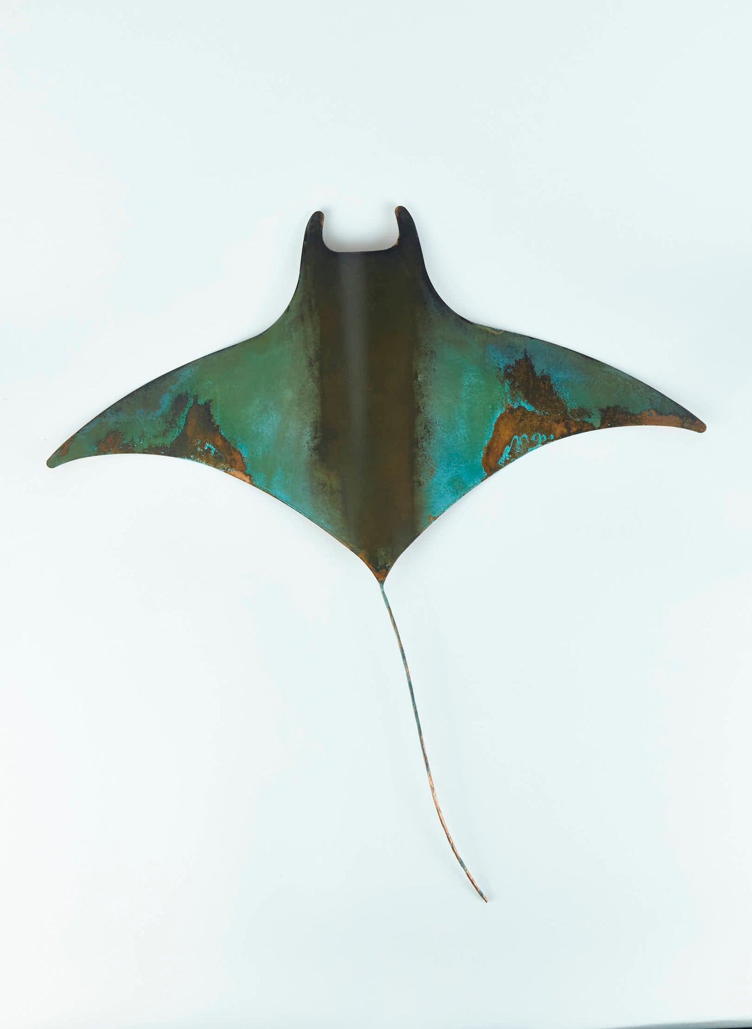 Manta Rays