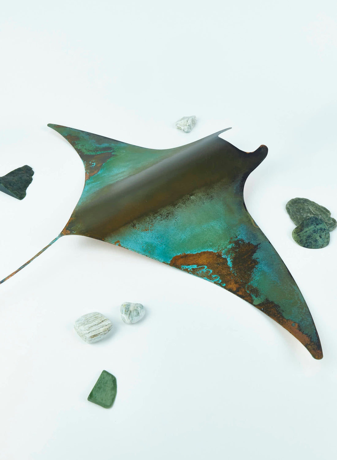 Manta Rays